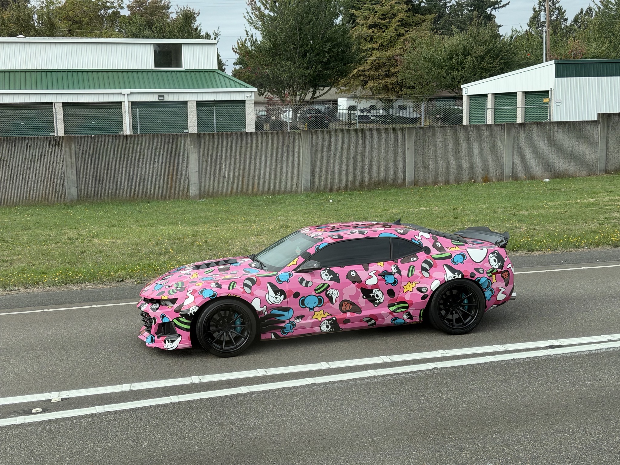 Interesting paint job