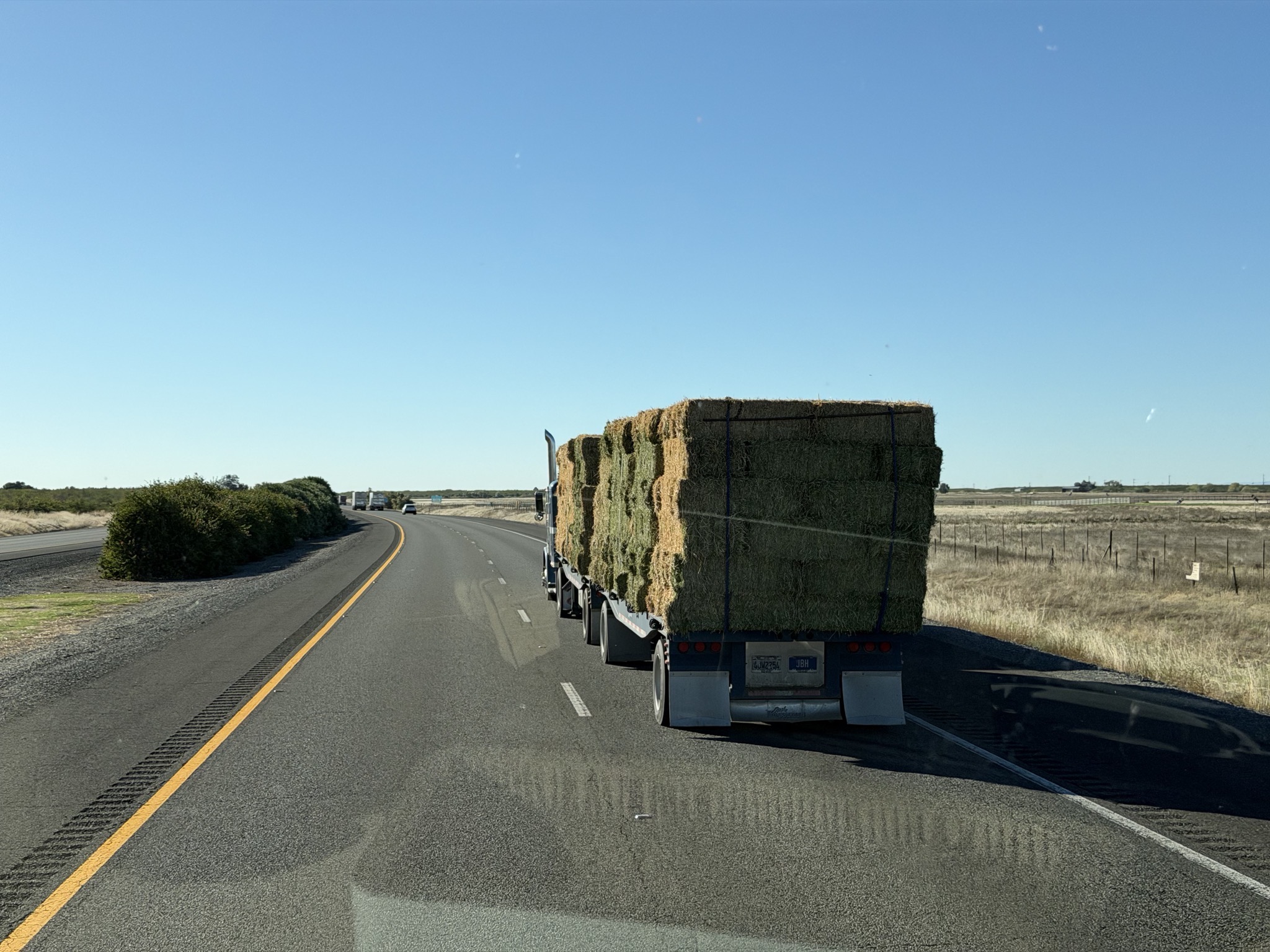 Hey, hay!