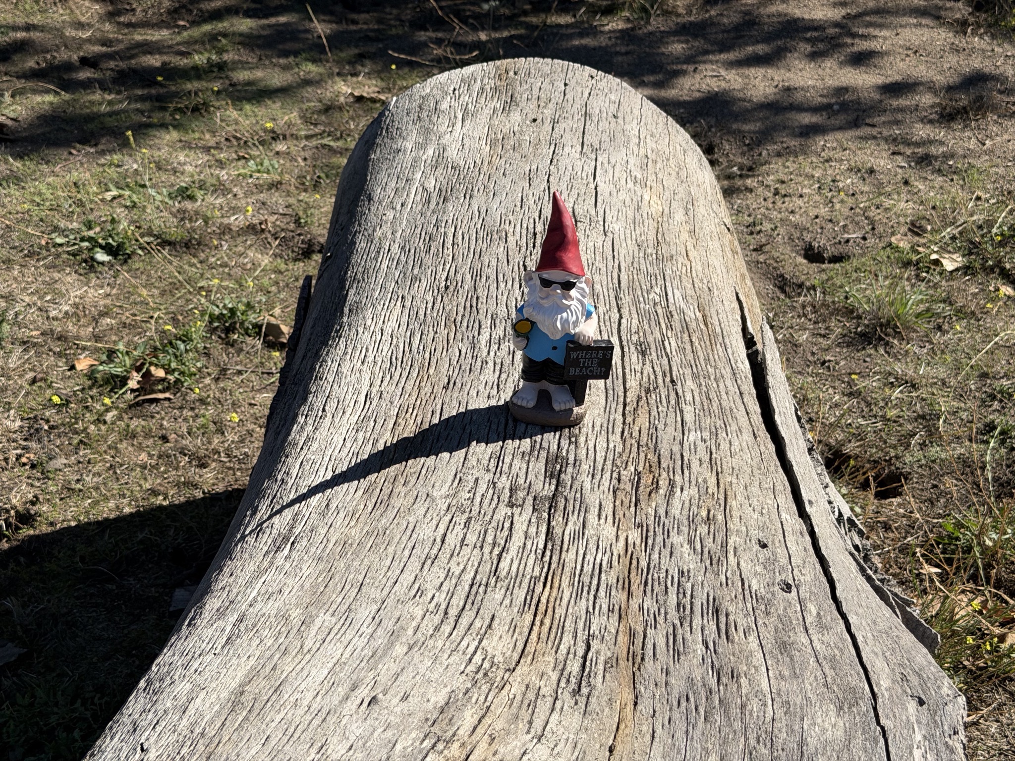 Lots of gnomes around the place