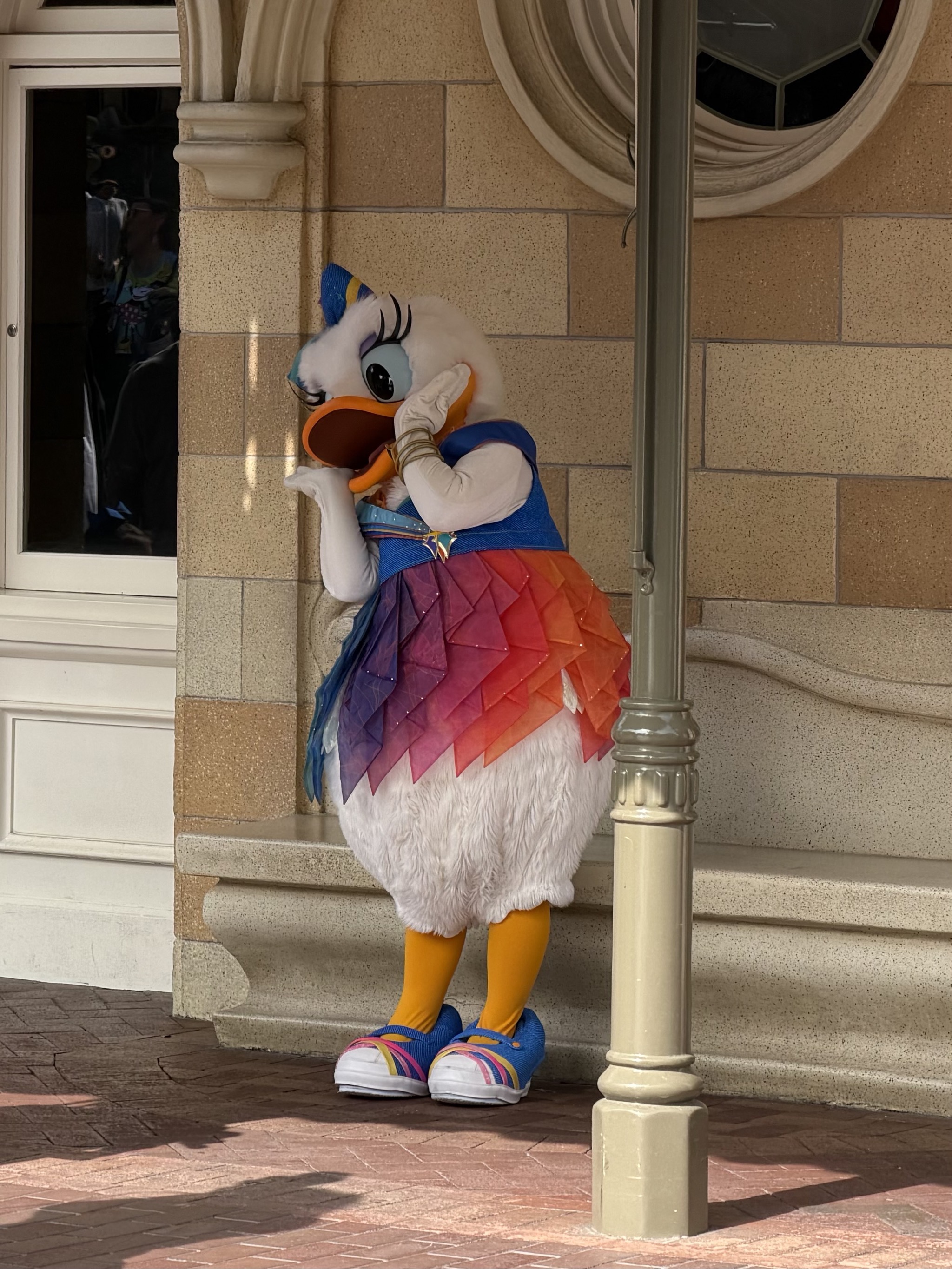Duck