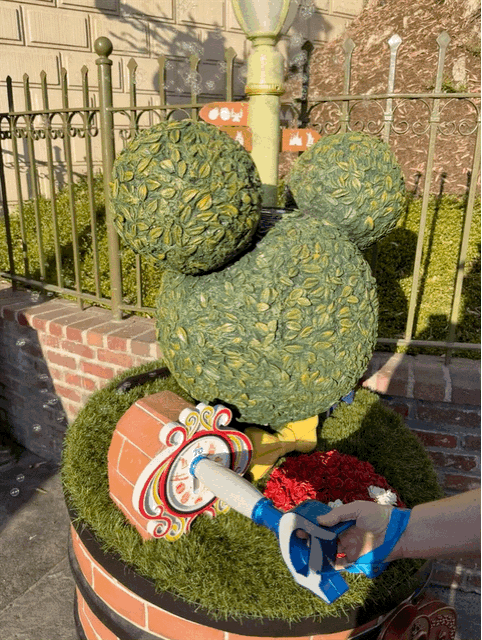 Key to Disneyland