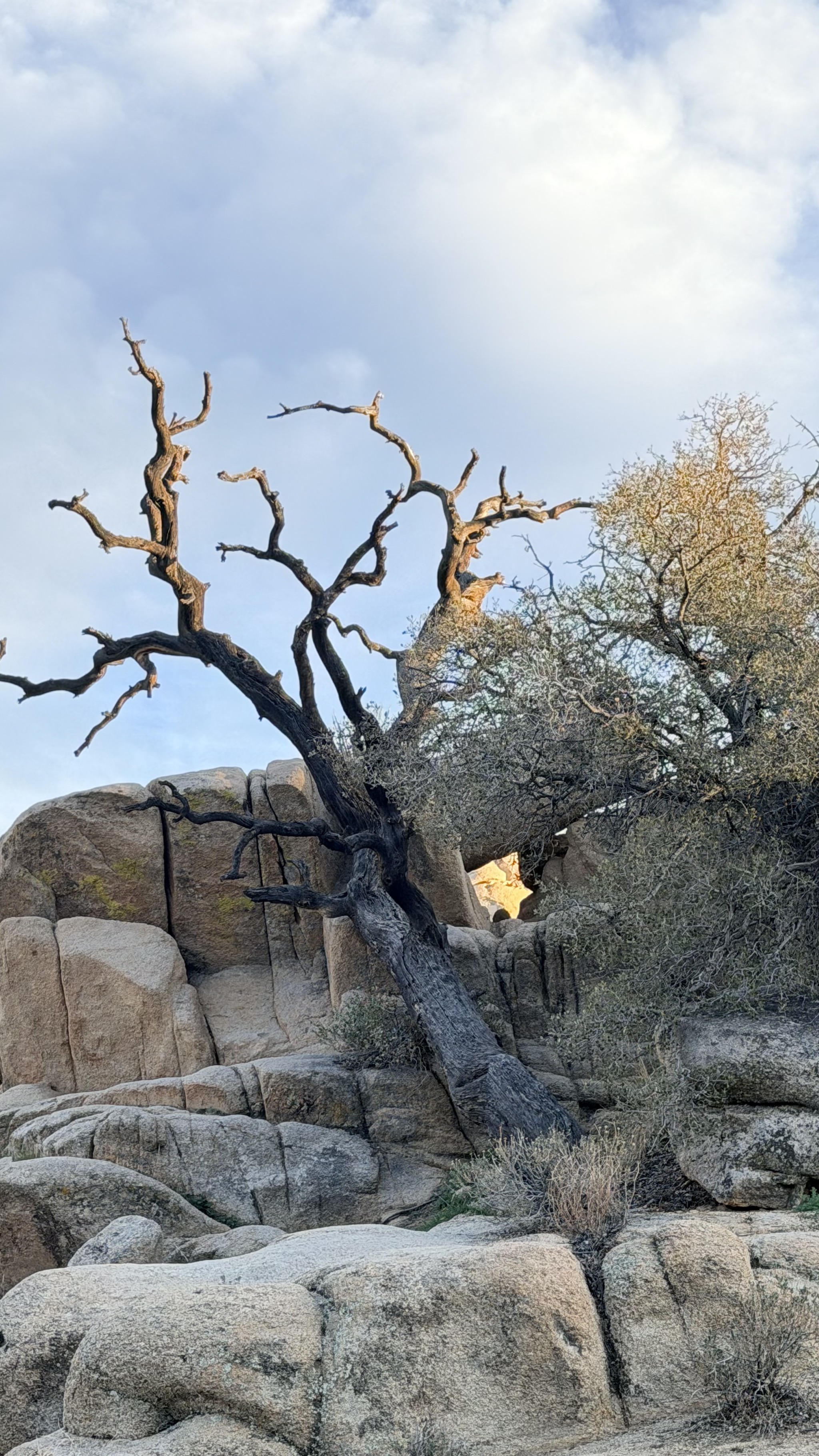 Hidden Valley Nature Trail