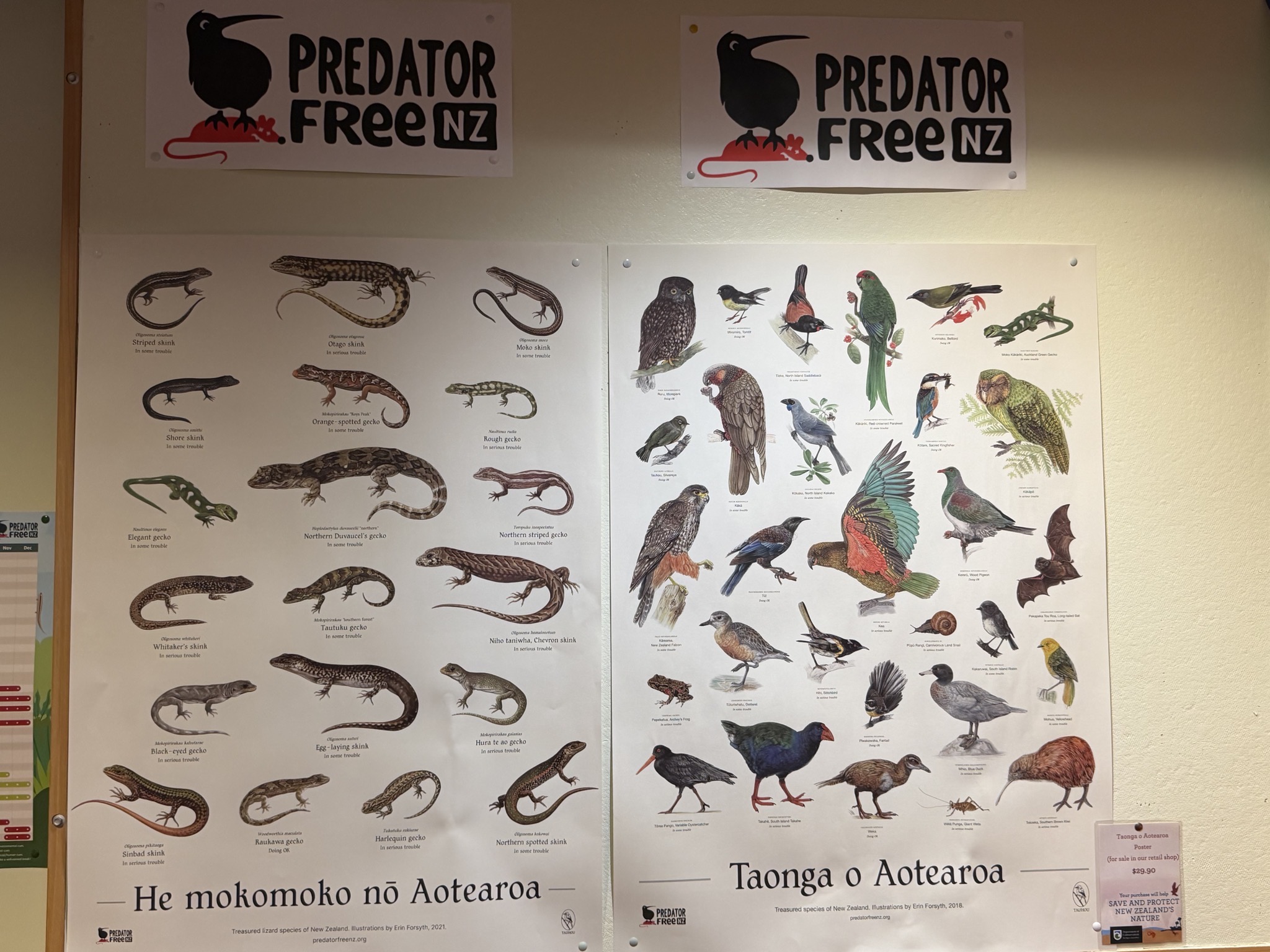 Predator free NZ