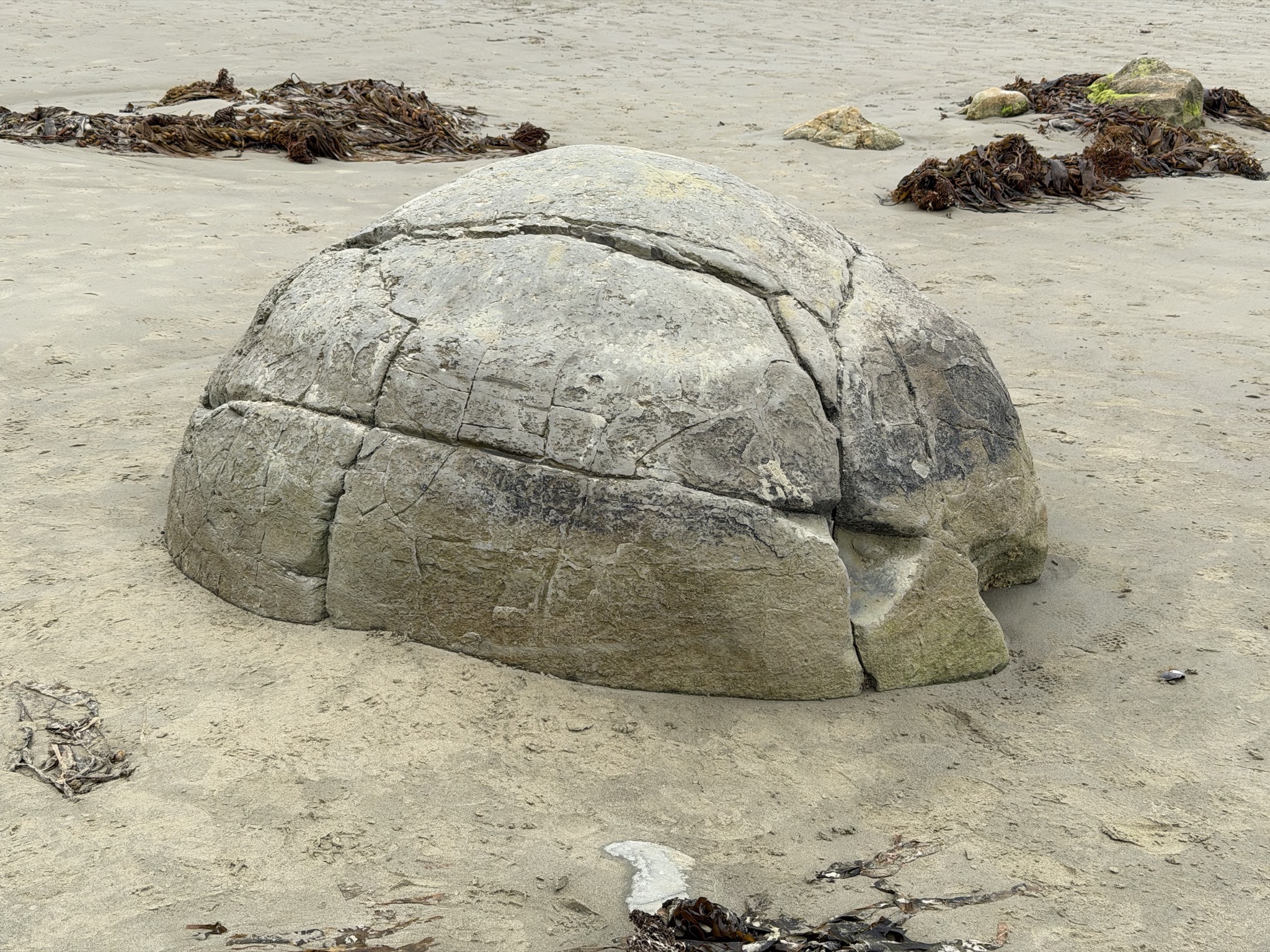 Moeraki Boulders