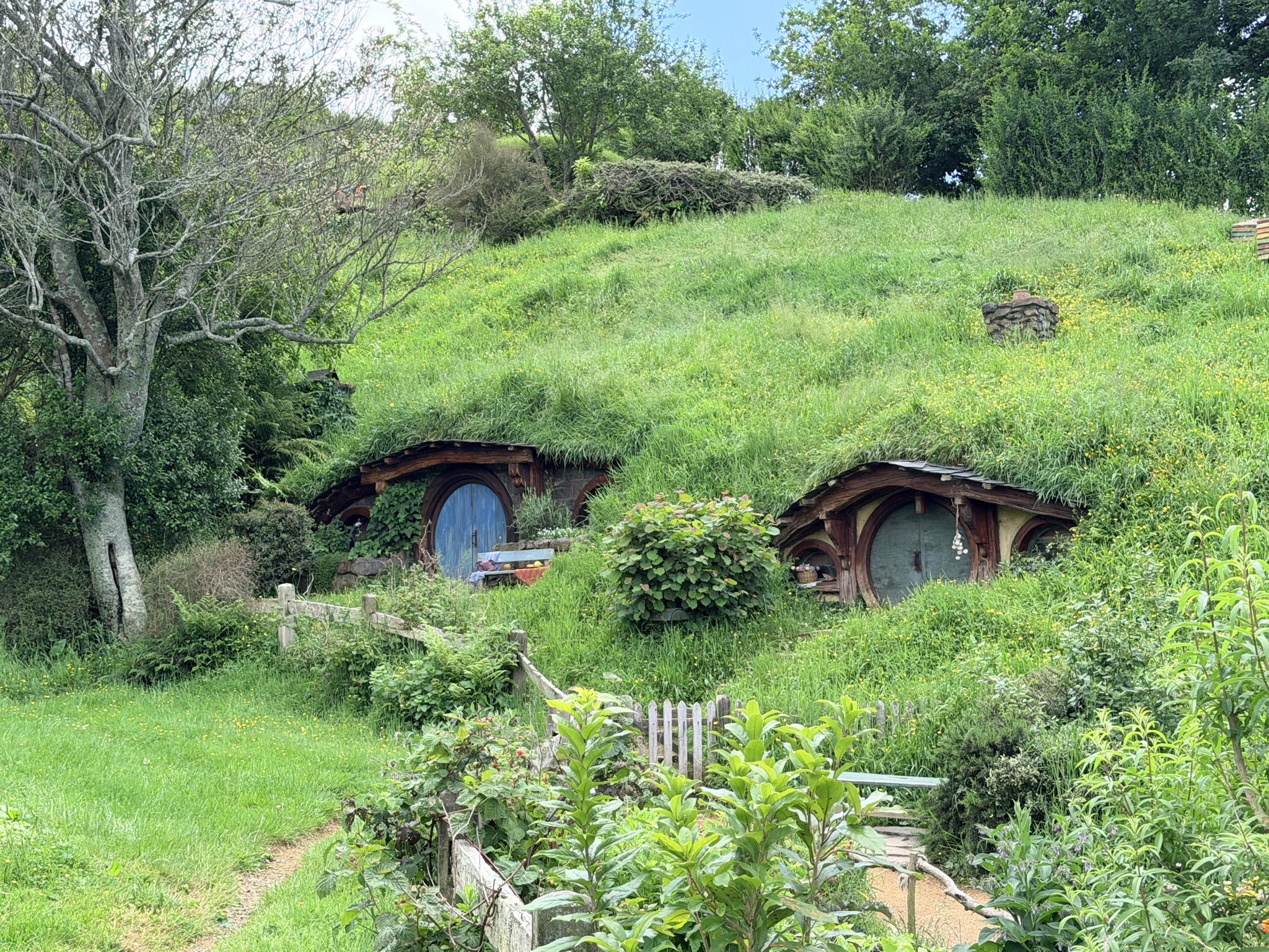 Hobbit holes