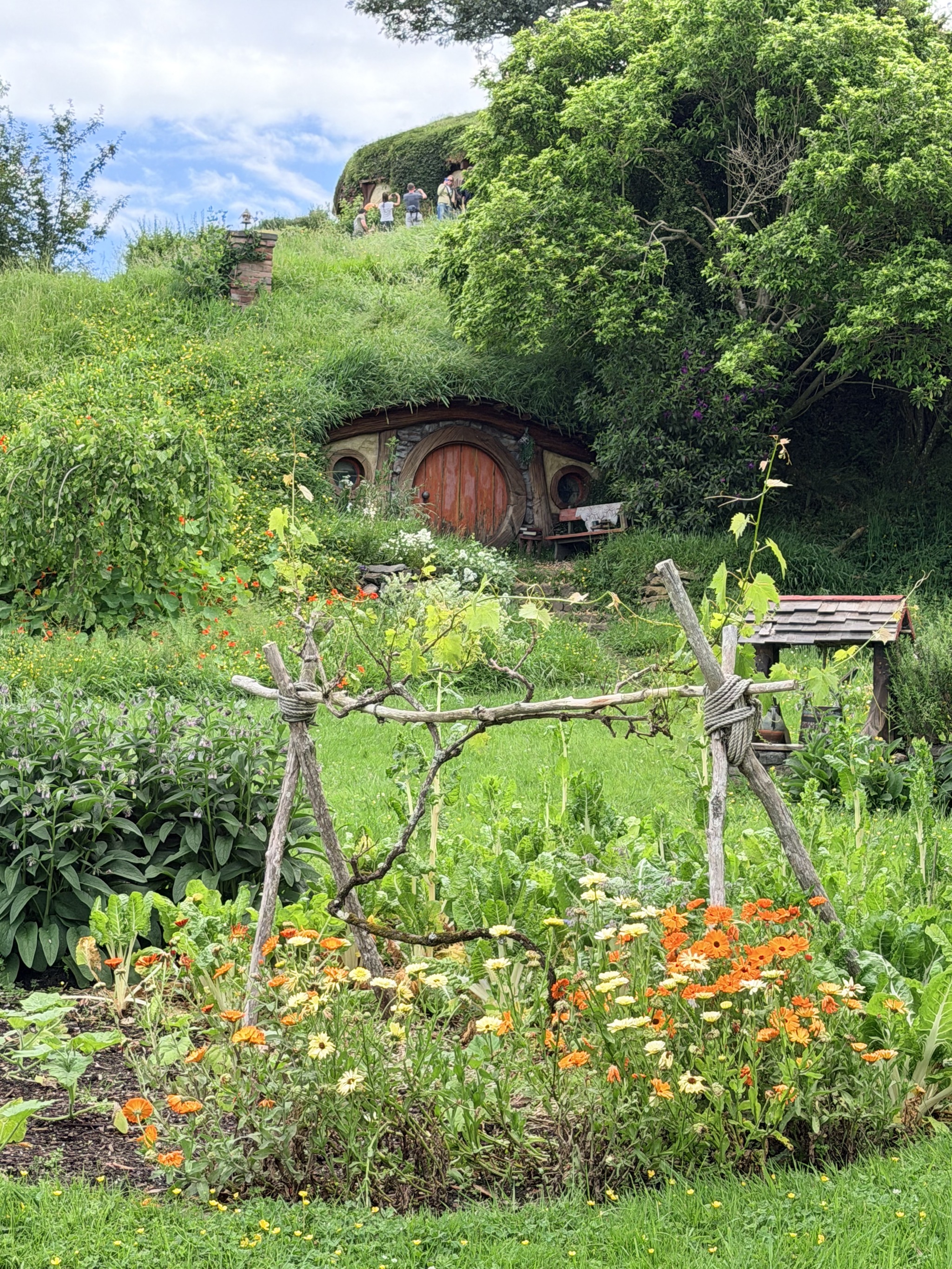 Hobbit holes