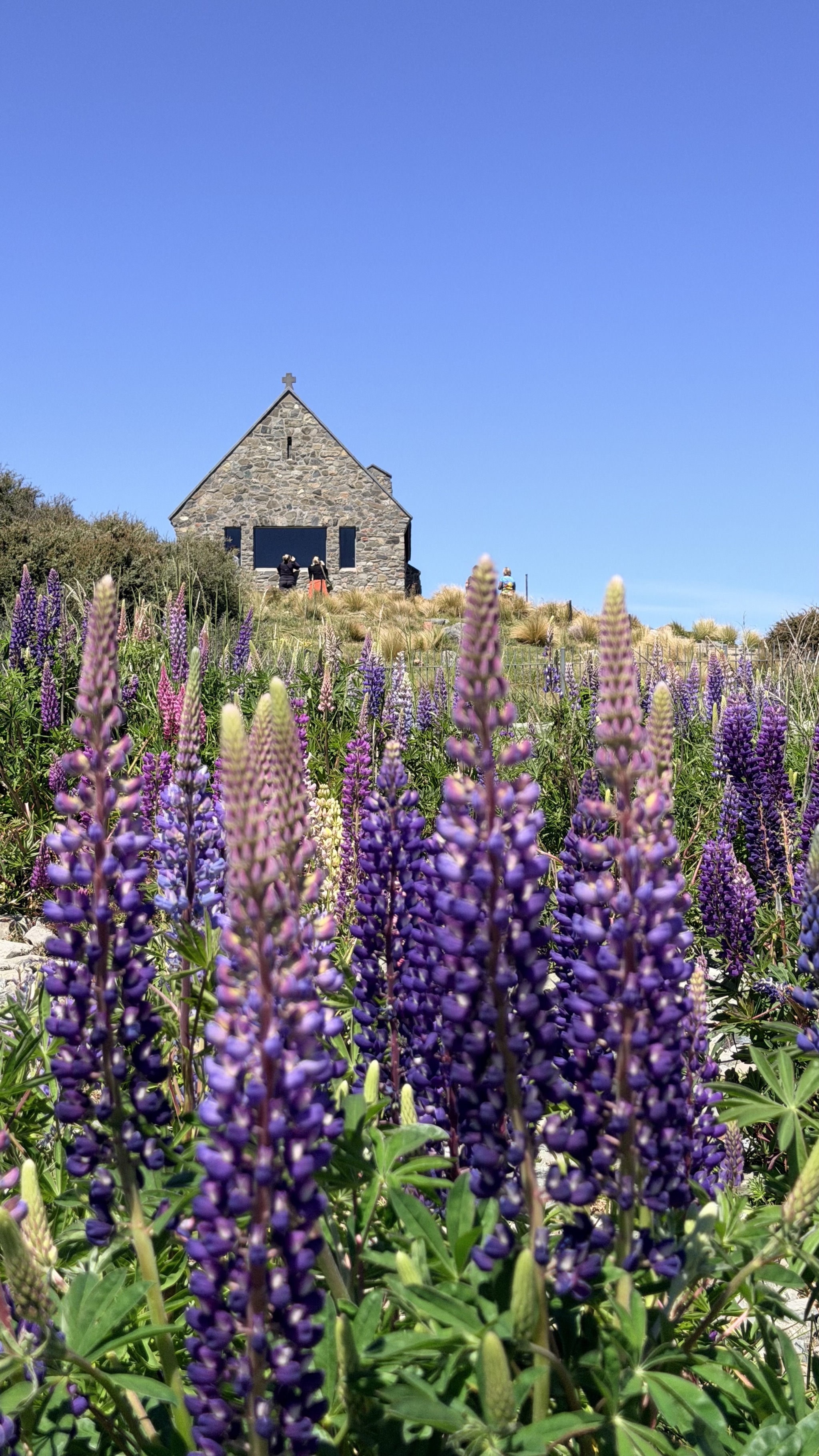 Church of the Good Shepherd