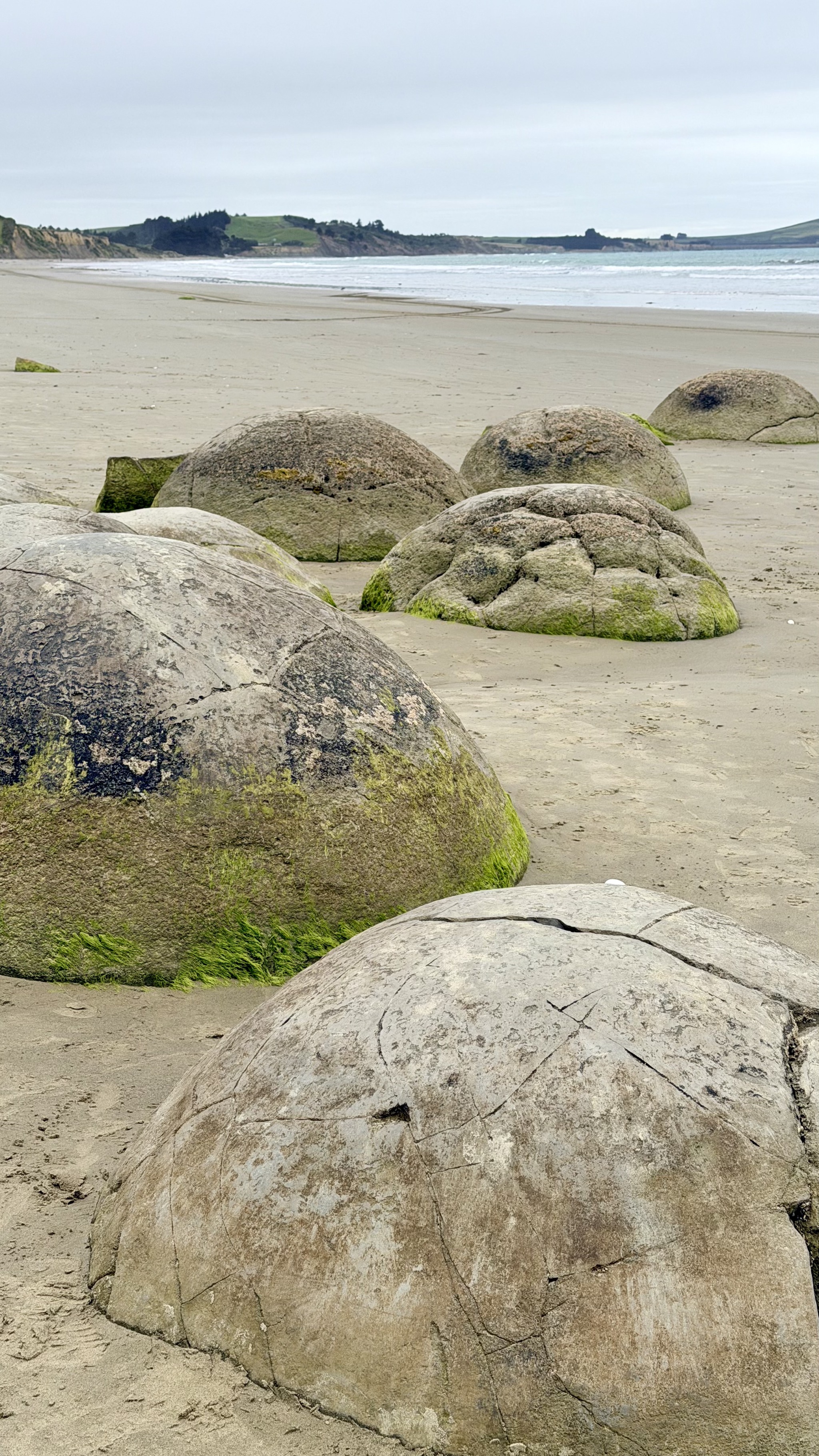 Moeraki Boulders