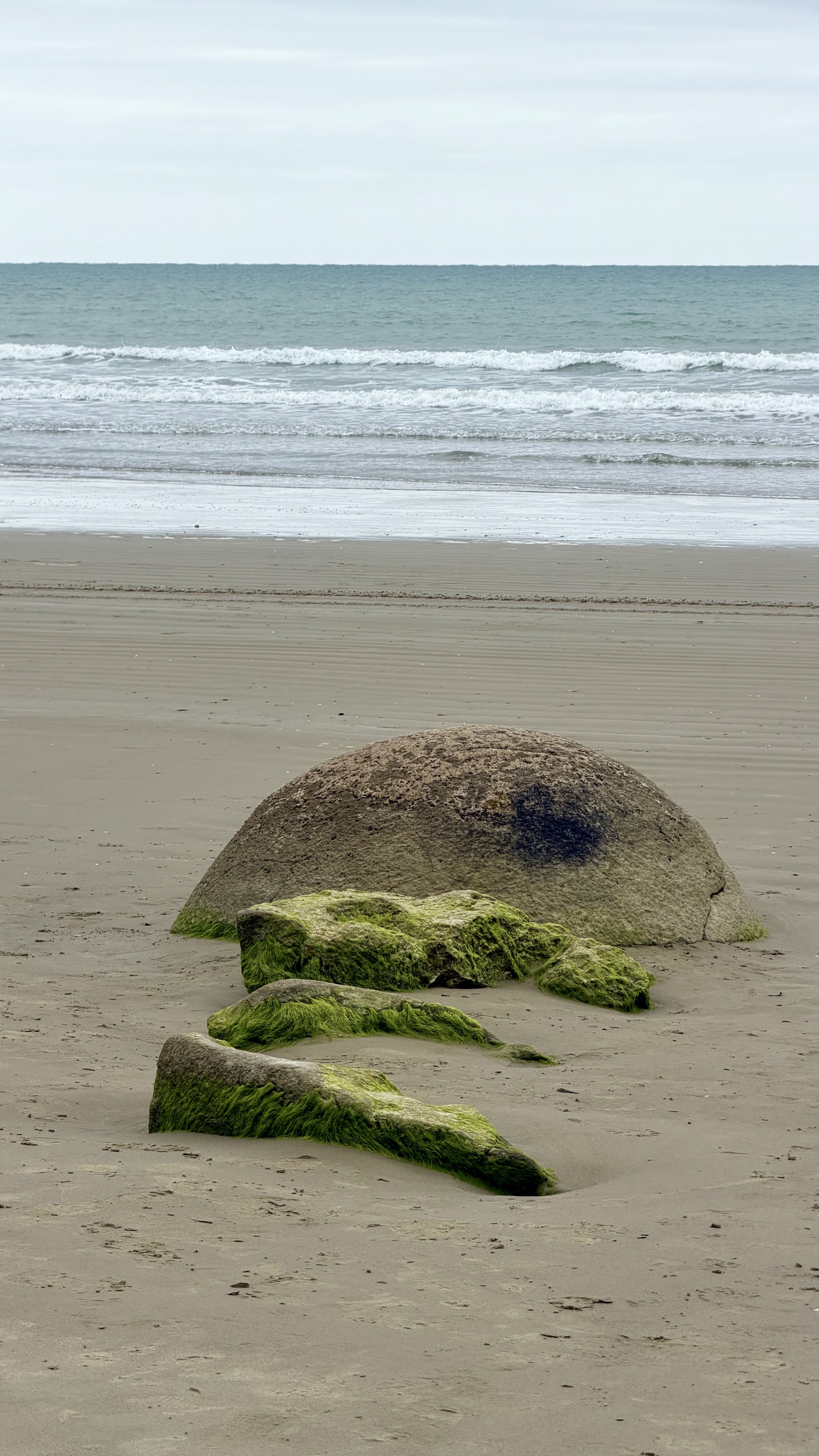 Moeraki Boulders
