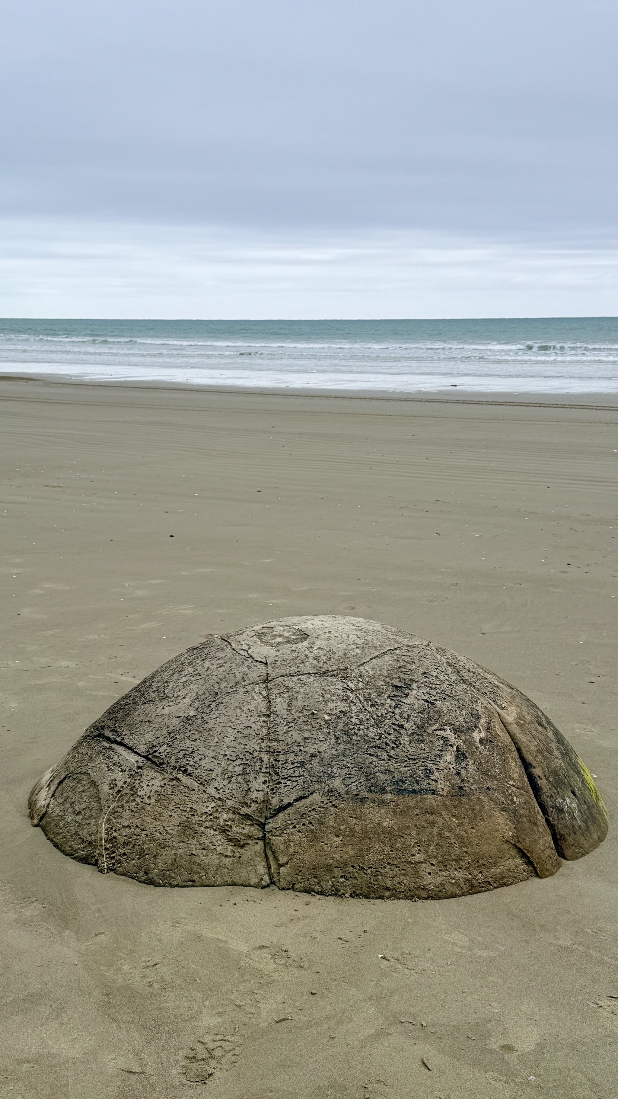 Moeraki Boulders