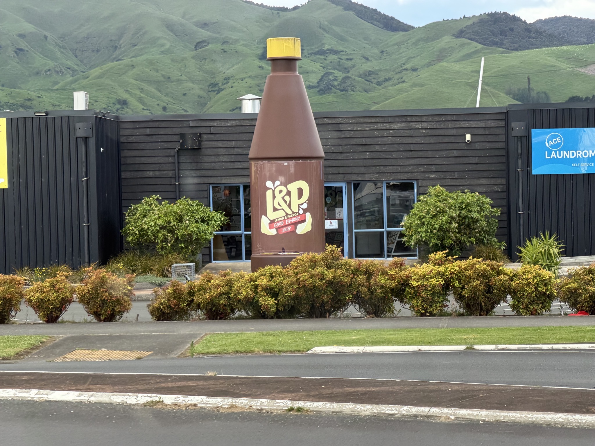 Large L&P bottle