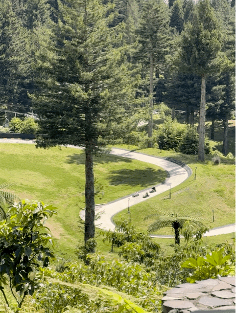 Watching the luge
