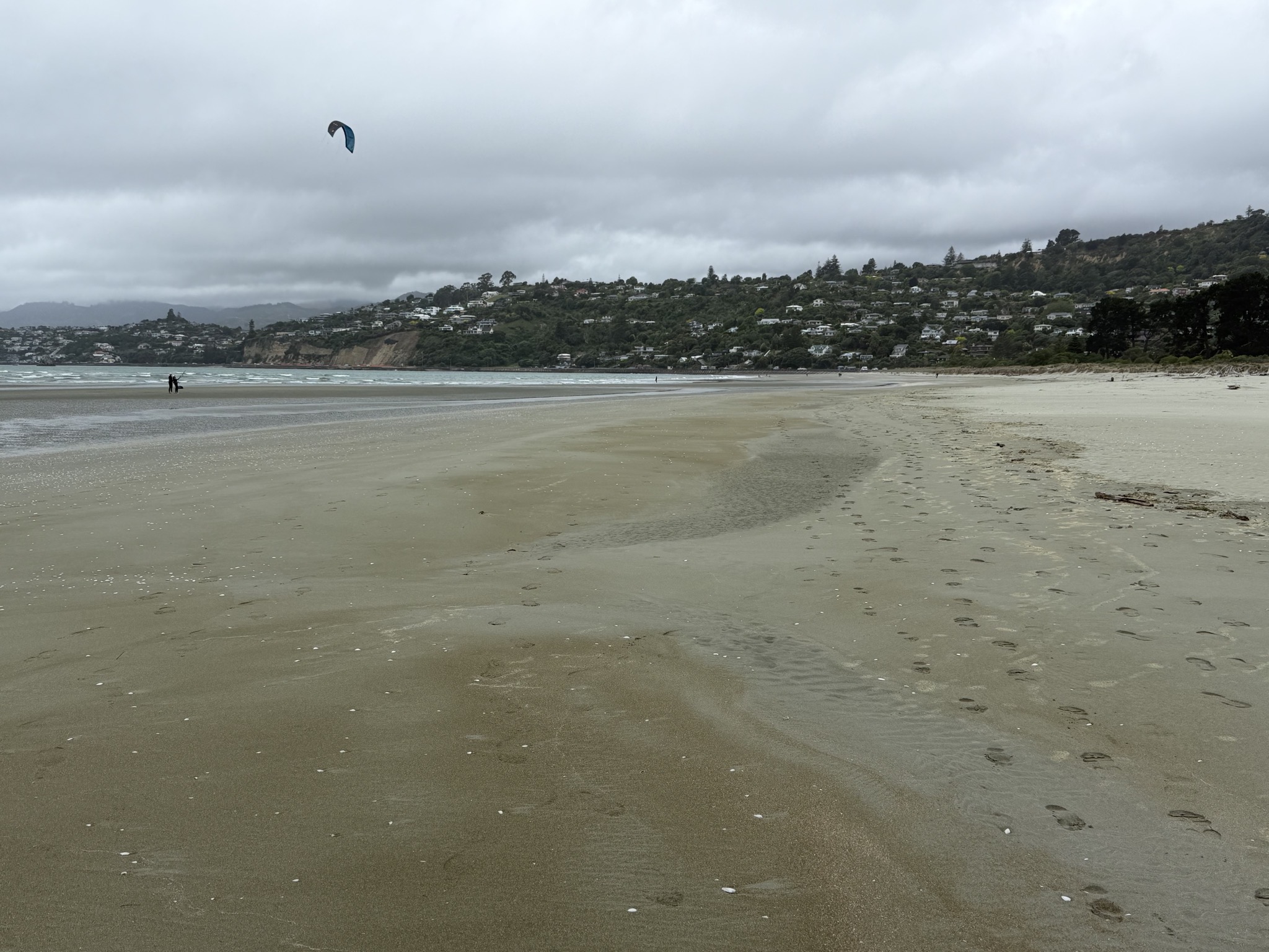 Tahunanui Beach