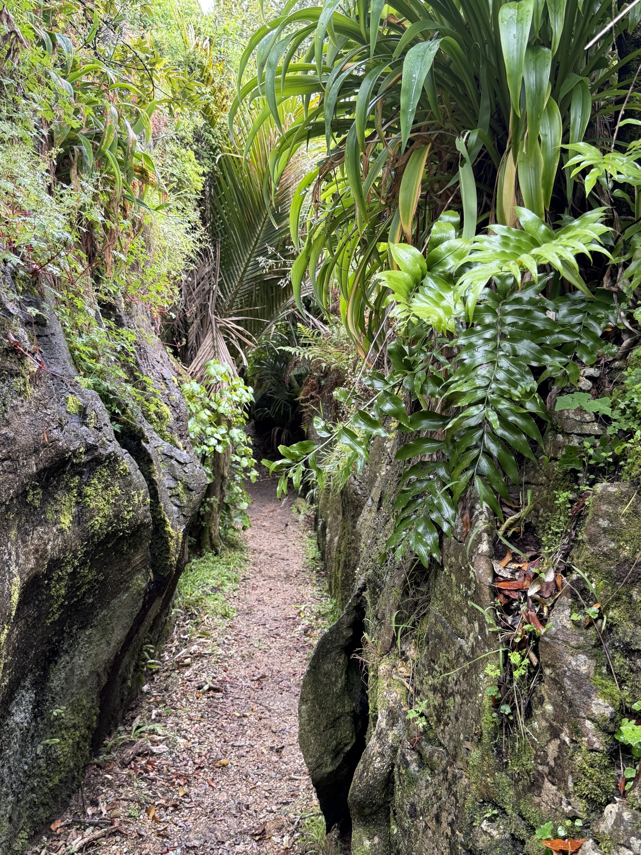 Labyrinth Rocks