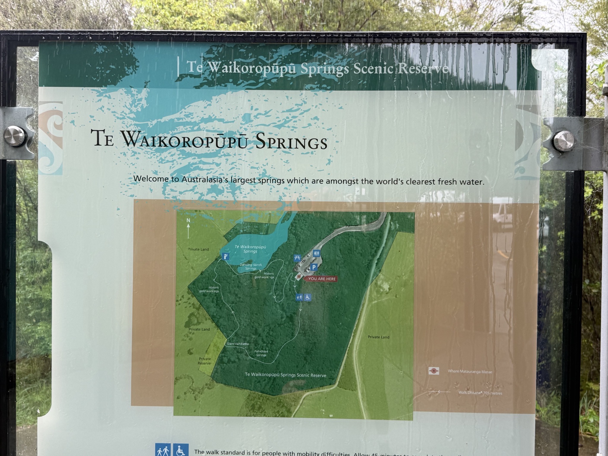 Te Waikoropupu Springs