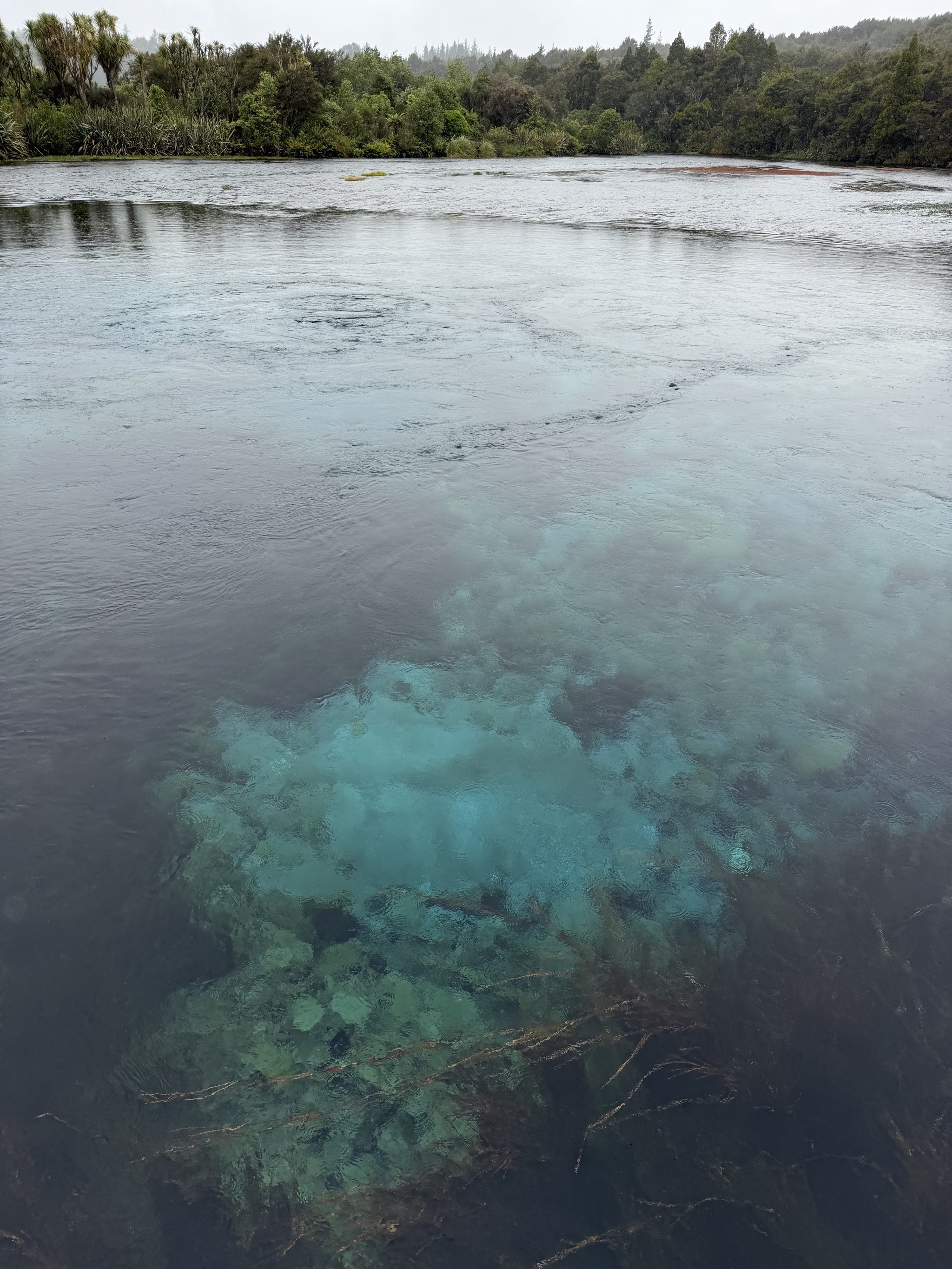 Te Waikoropupu Springs