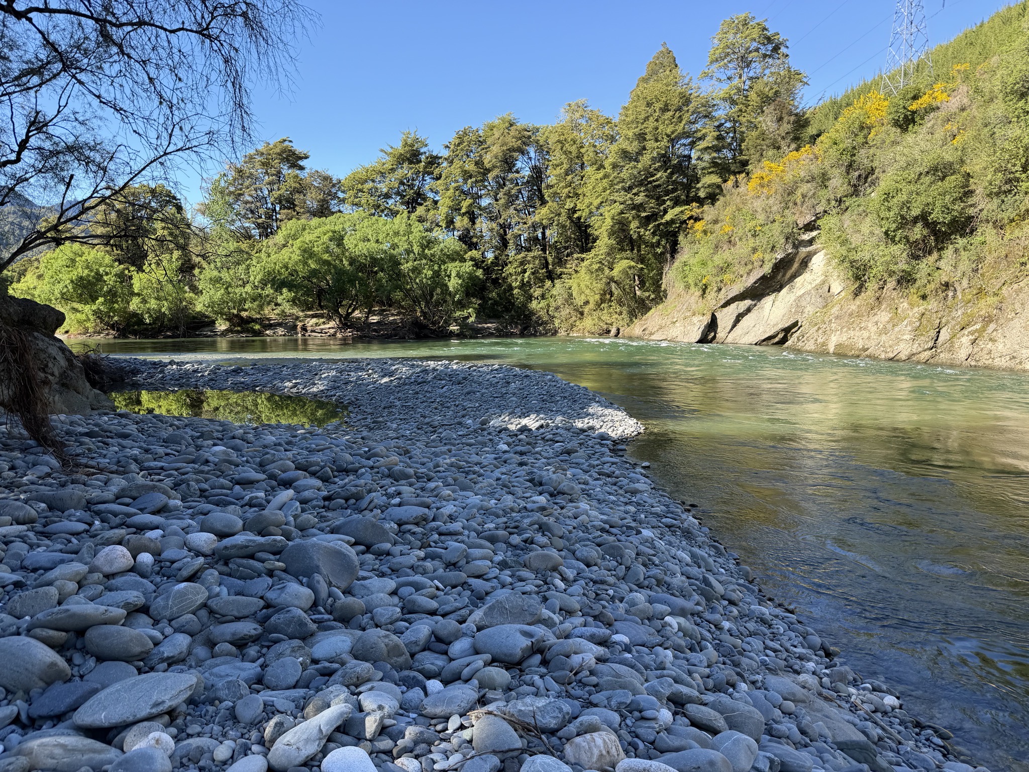 Buller River below the campground