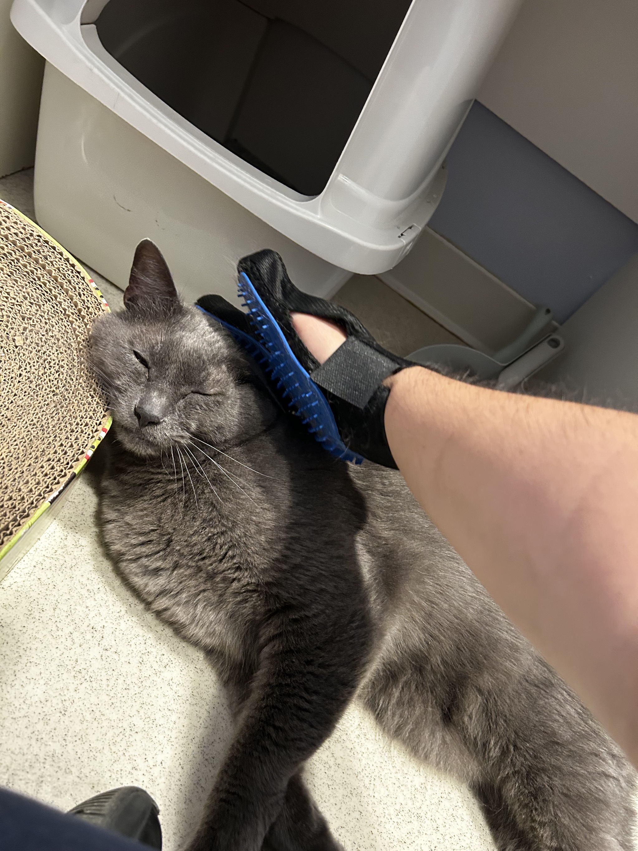Fur therapy glove