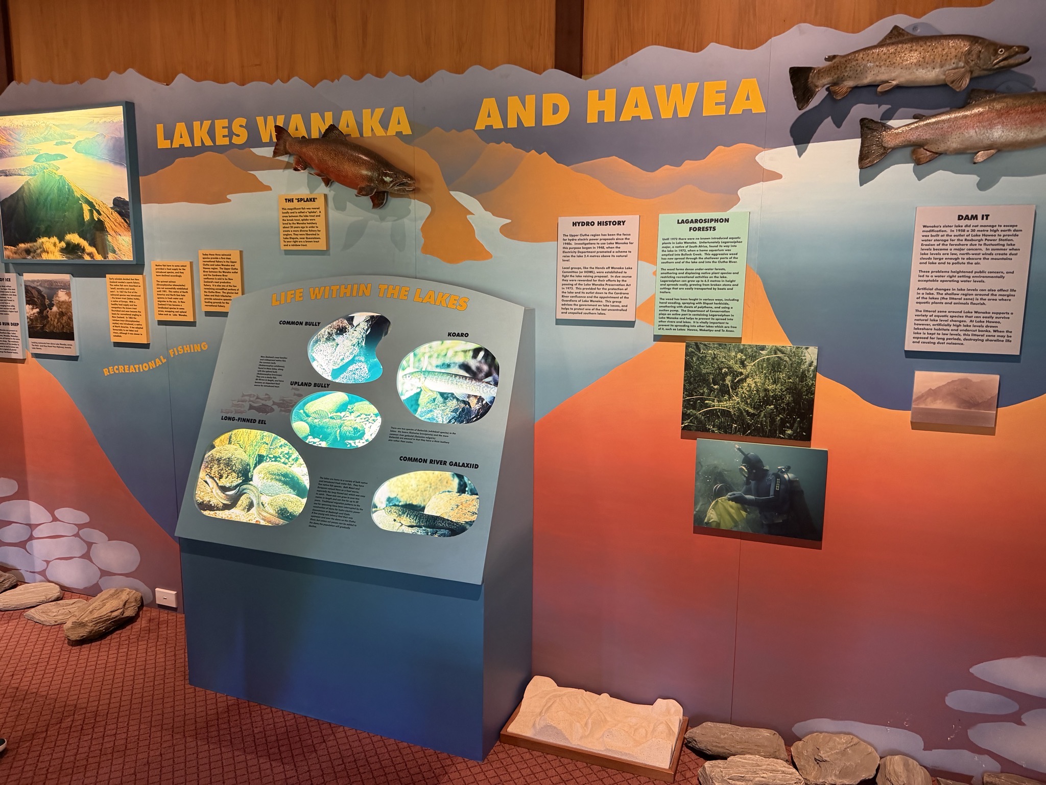 Mount Aspiring National Park Visitor Centre