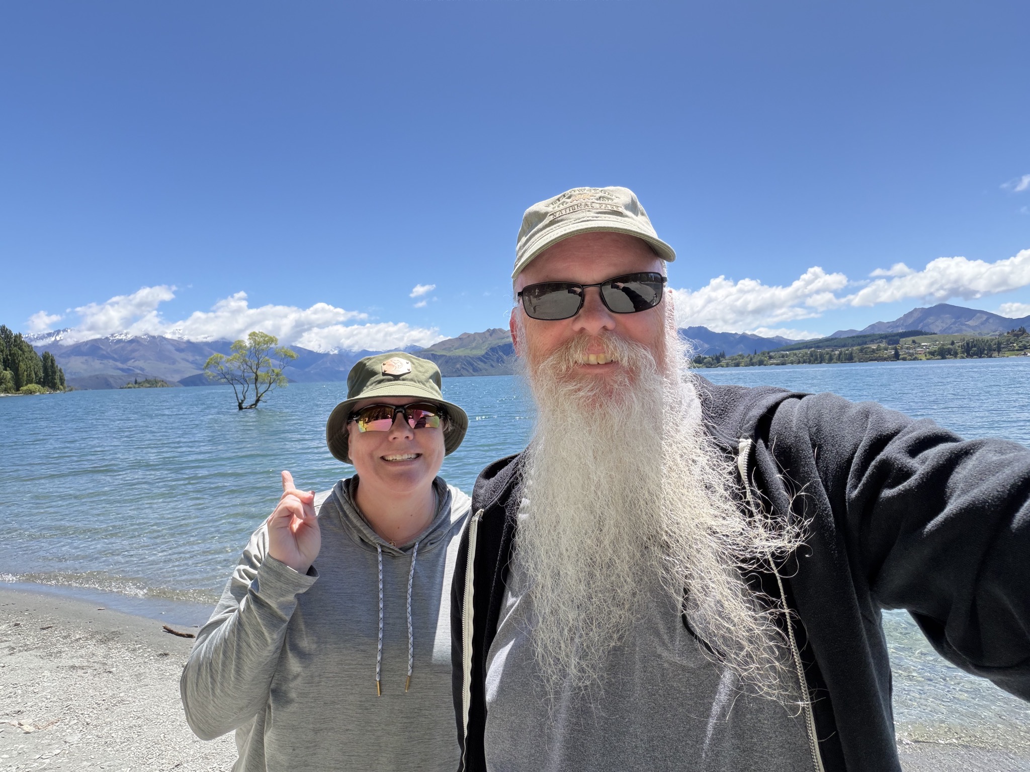 That Wanaka tree