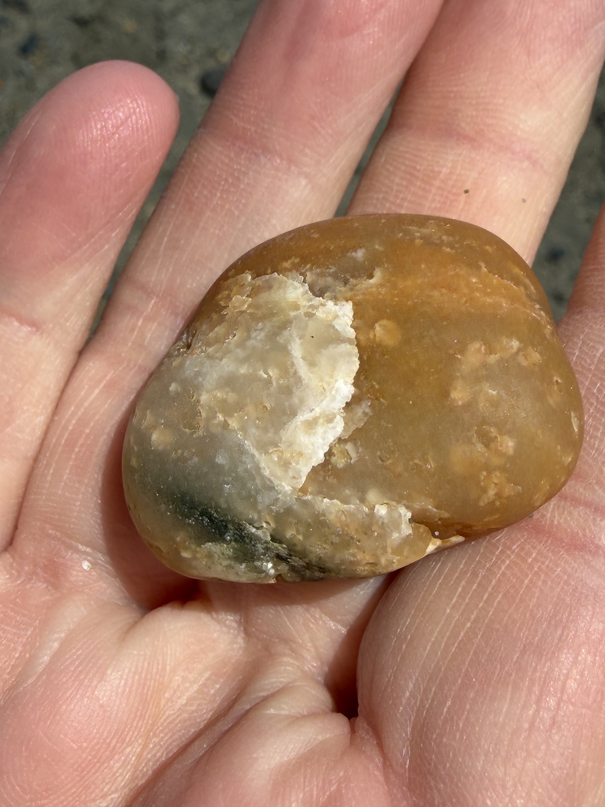 Ship Creek rock