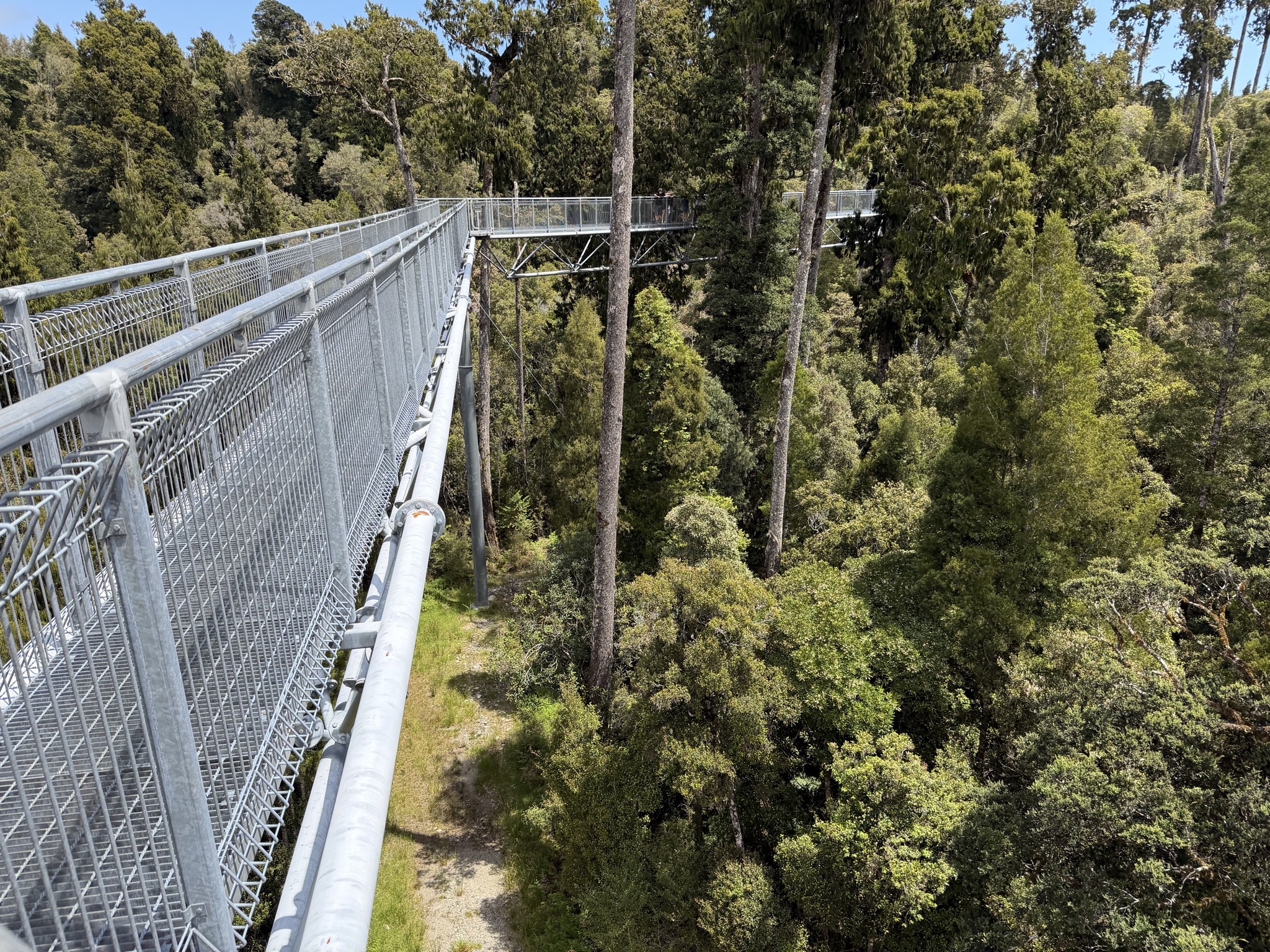 Tree top walk