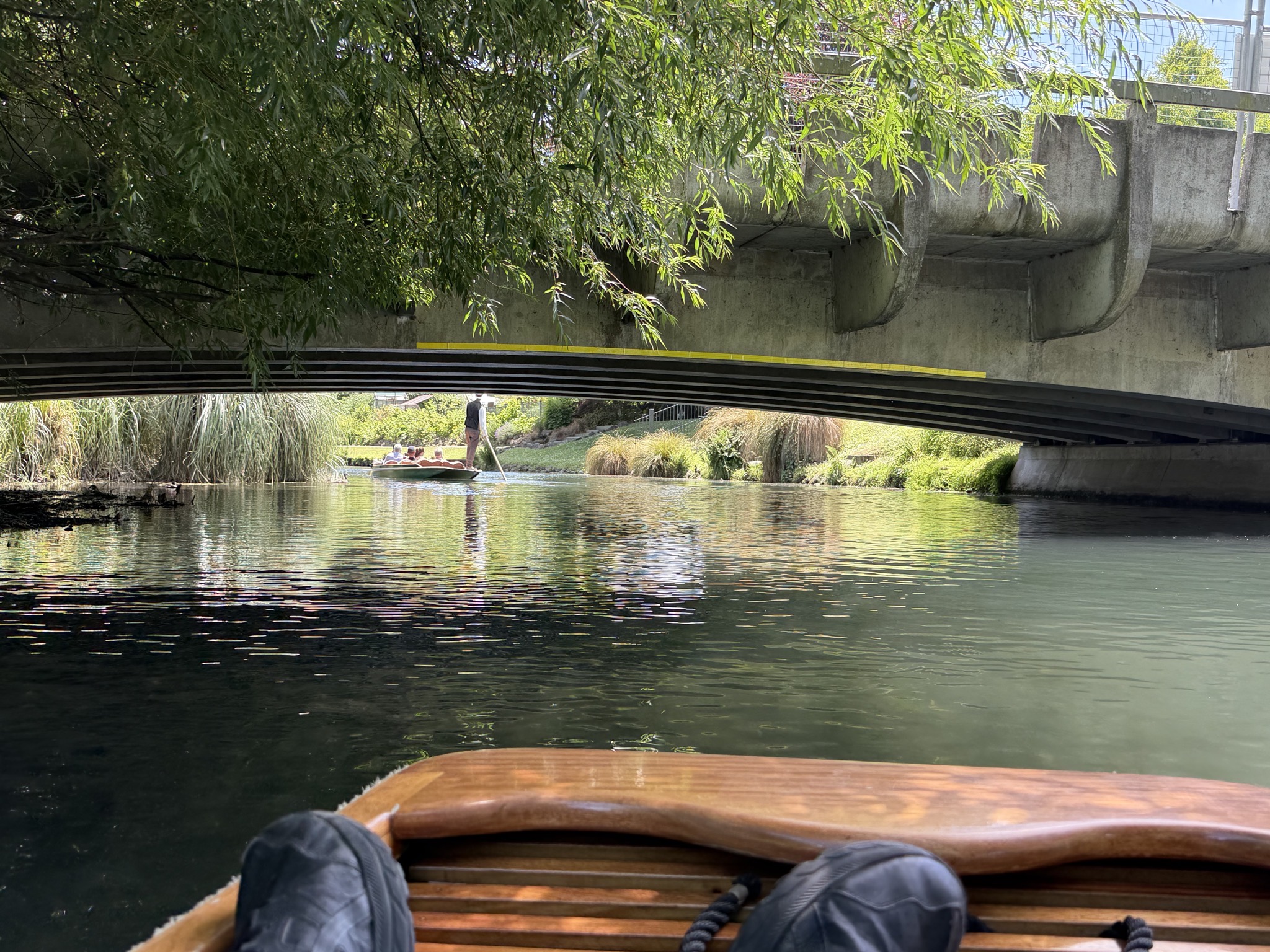 Punting on the Avon
