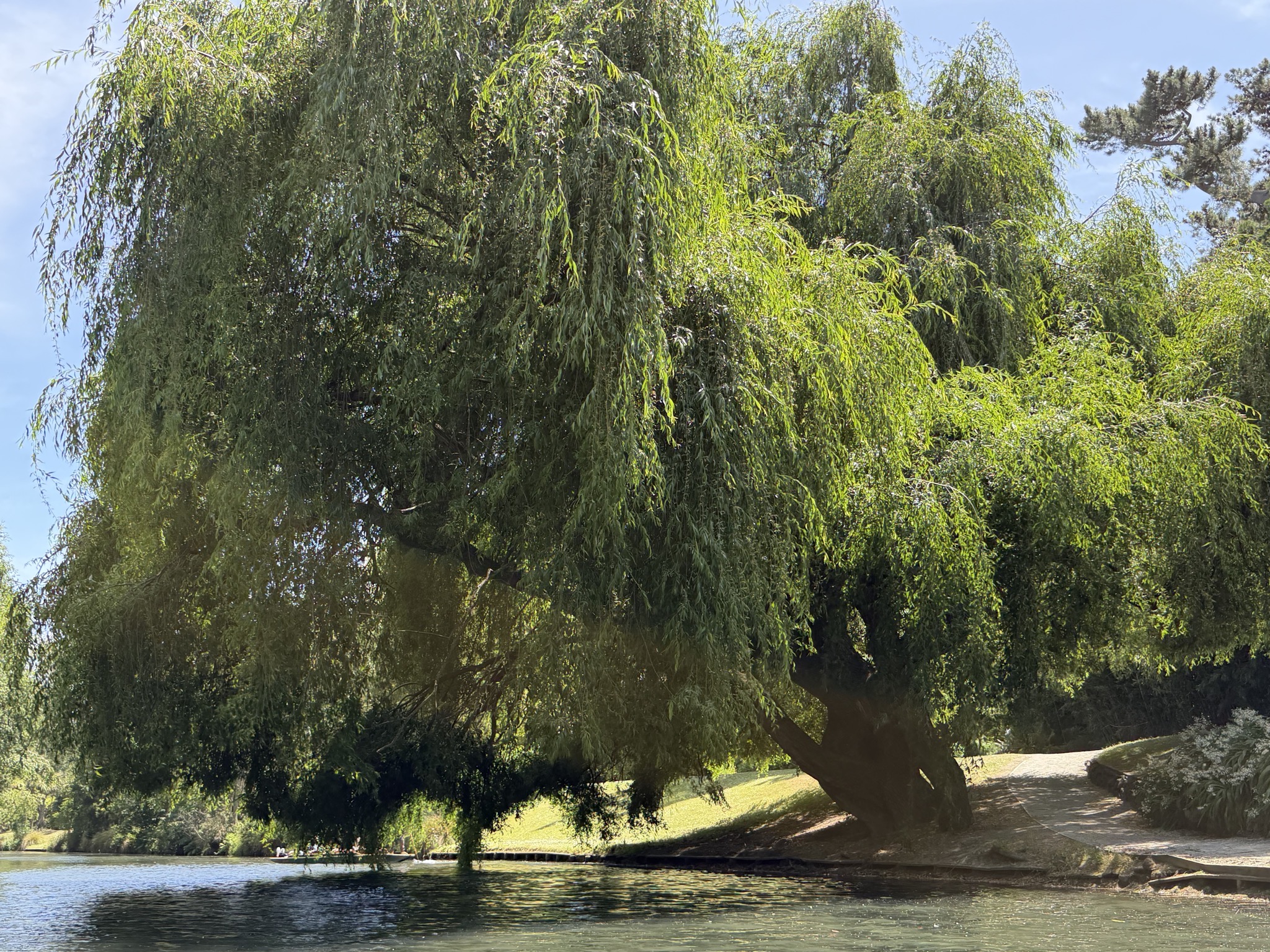 Punting on the Avon