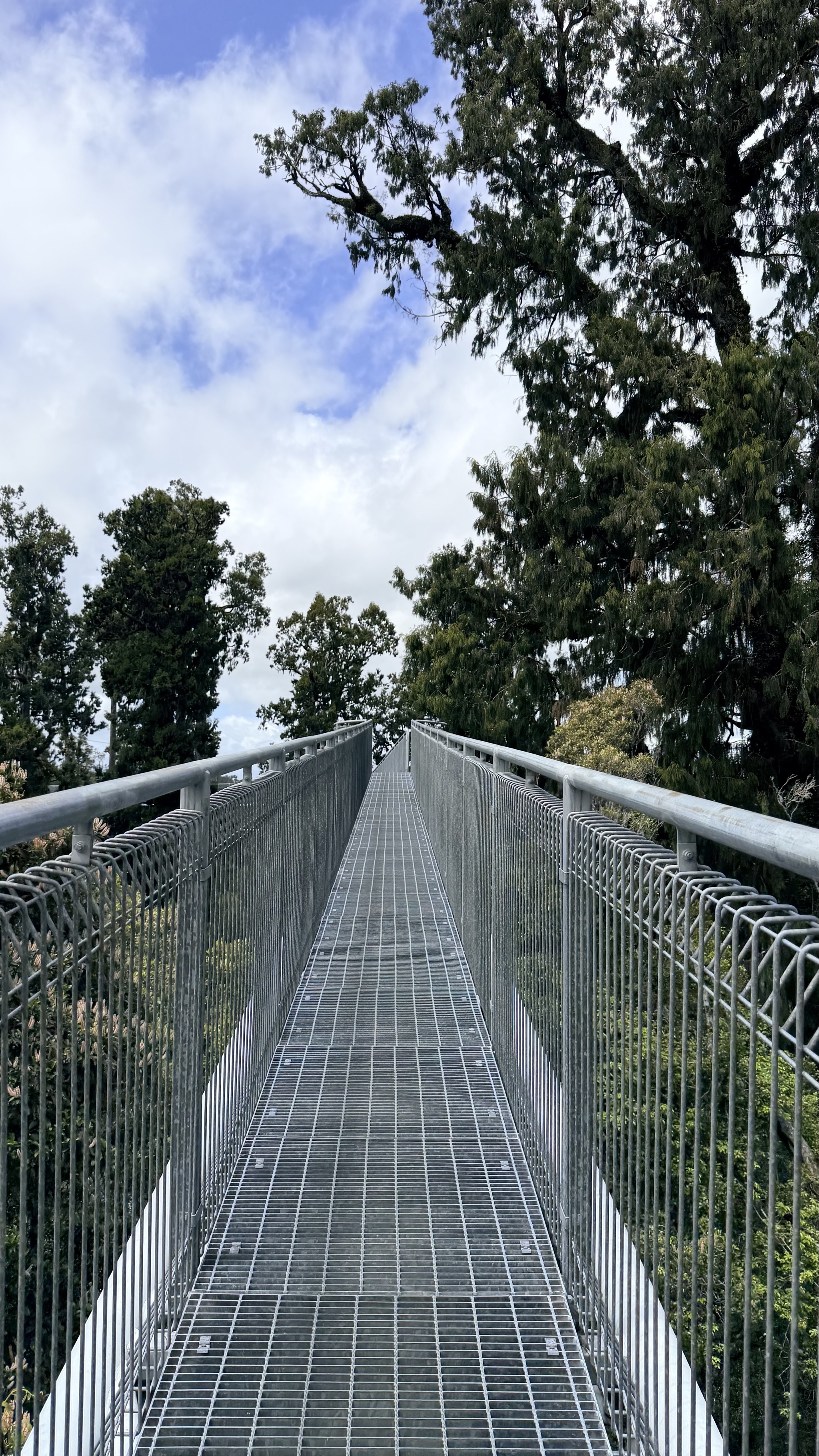 Tree top walk