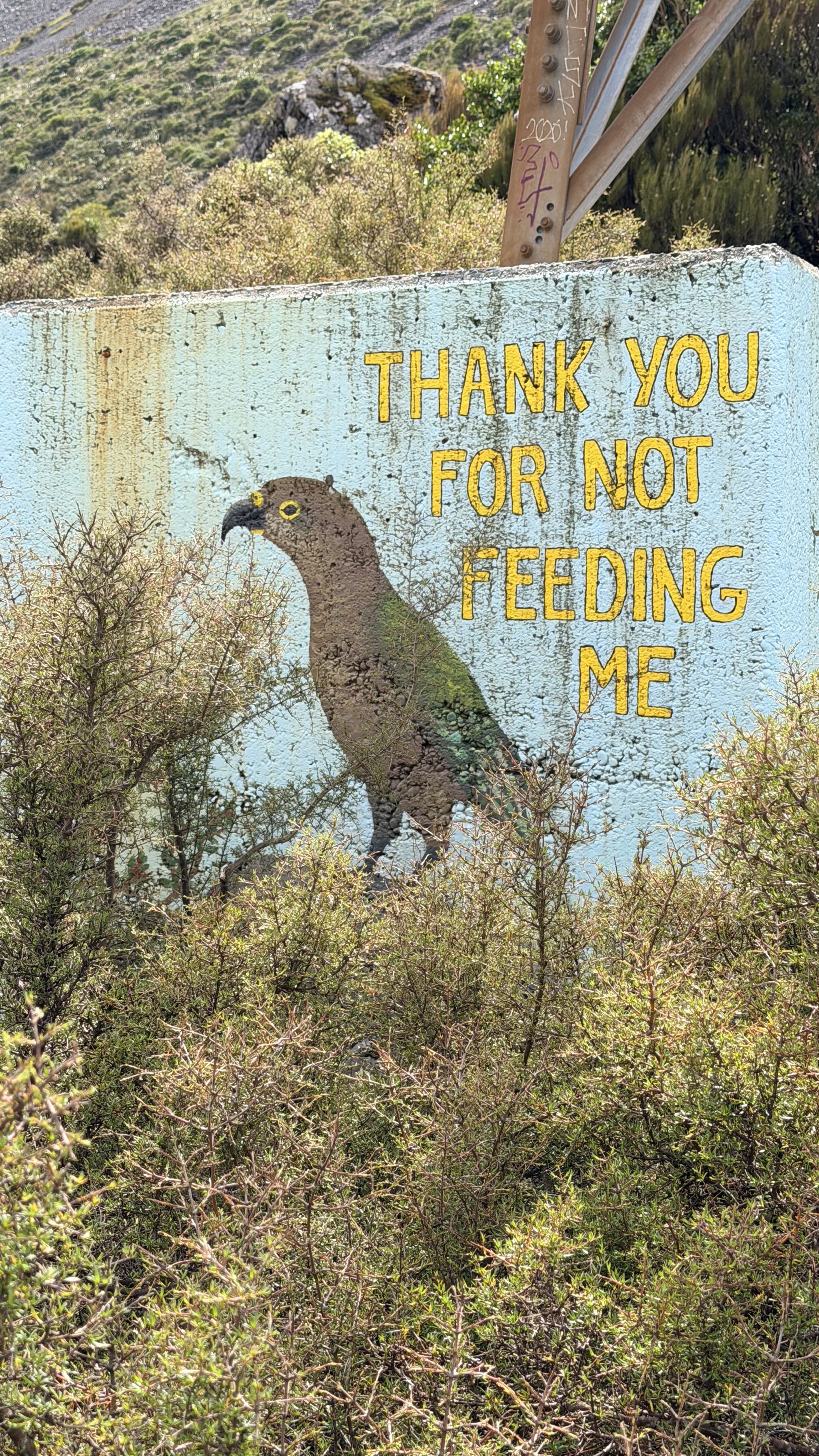 Thank you for not feeding me