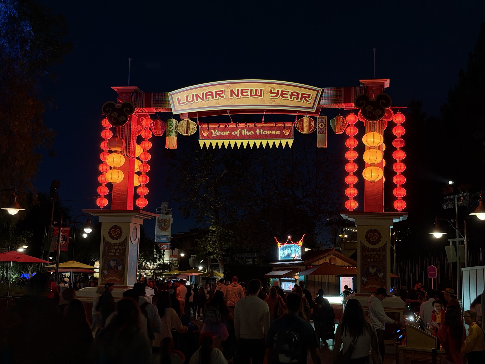 Lunar New Year