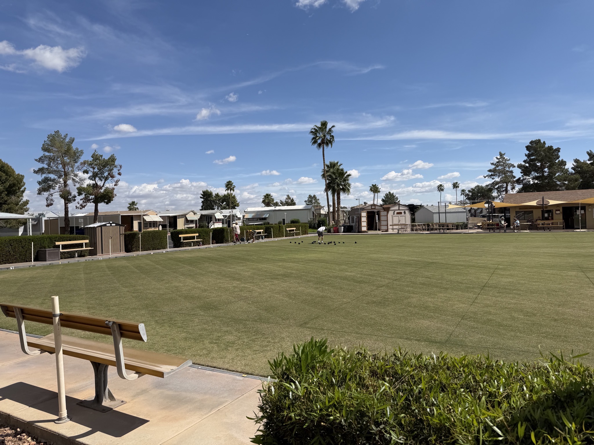 Lawn bowls
