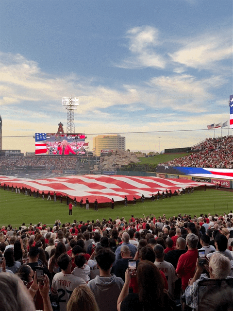 Big flag