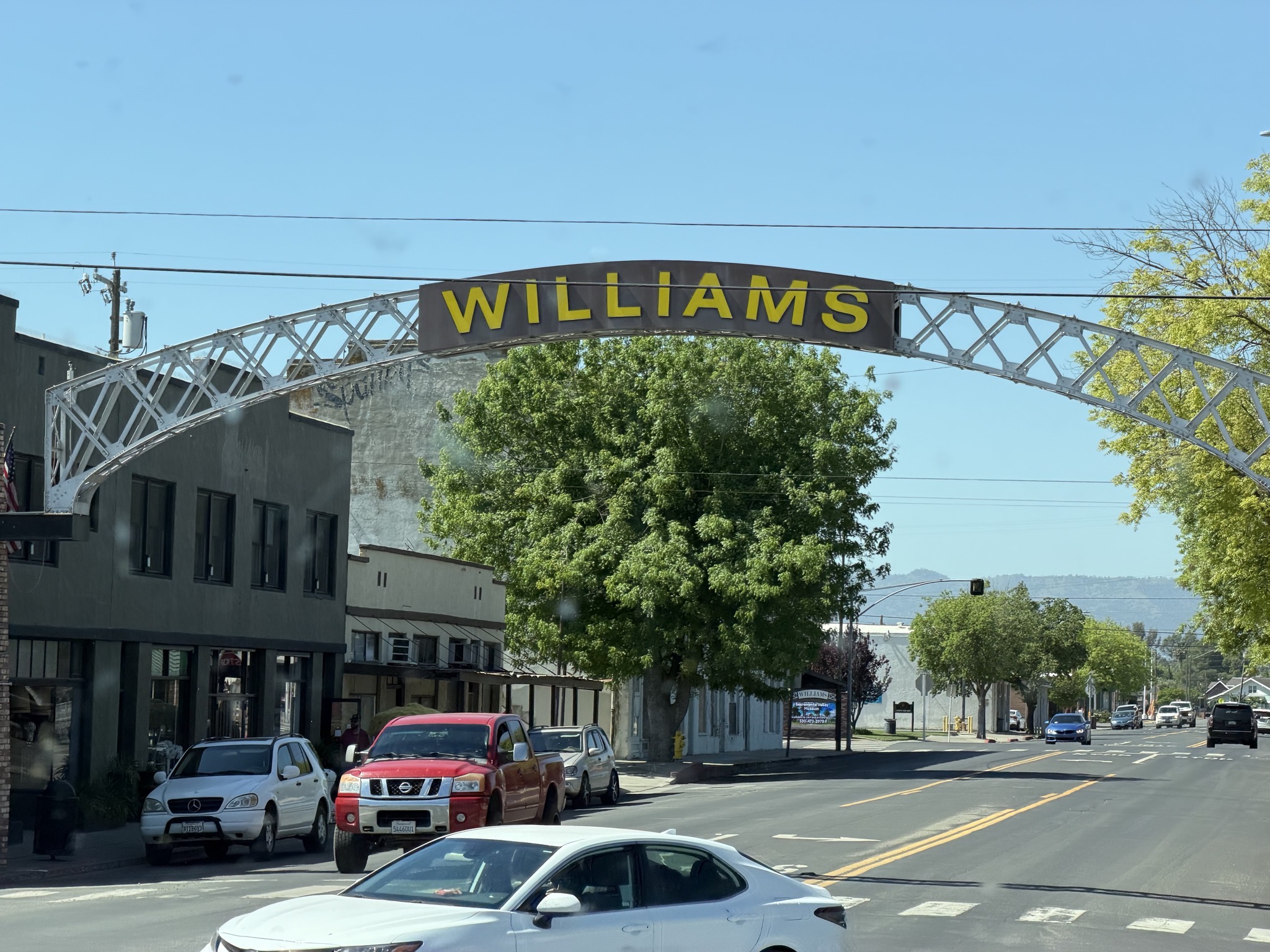 Williams arch