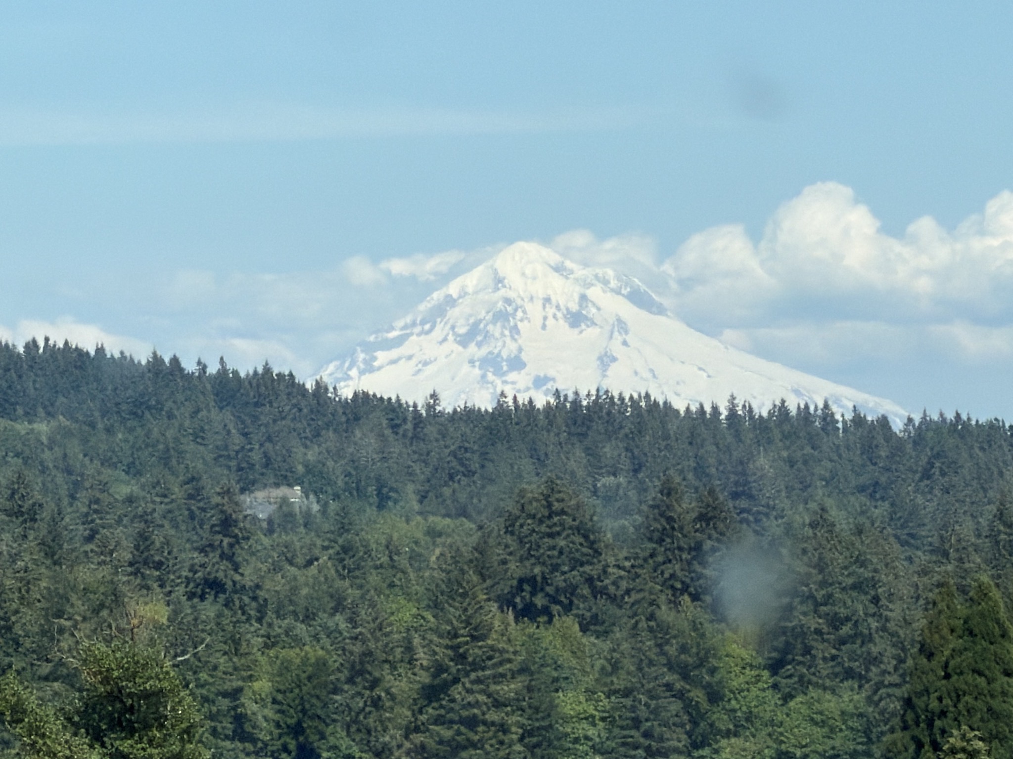 The mountain's out: Mount Hood