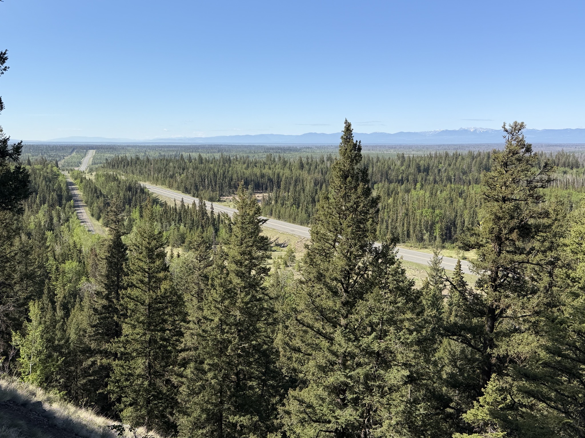 View partway up