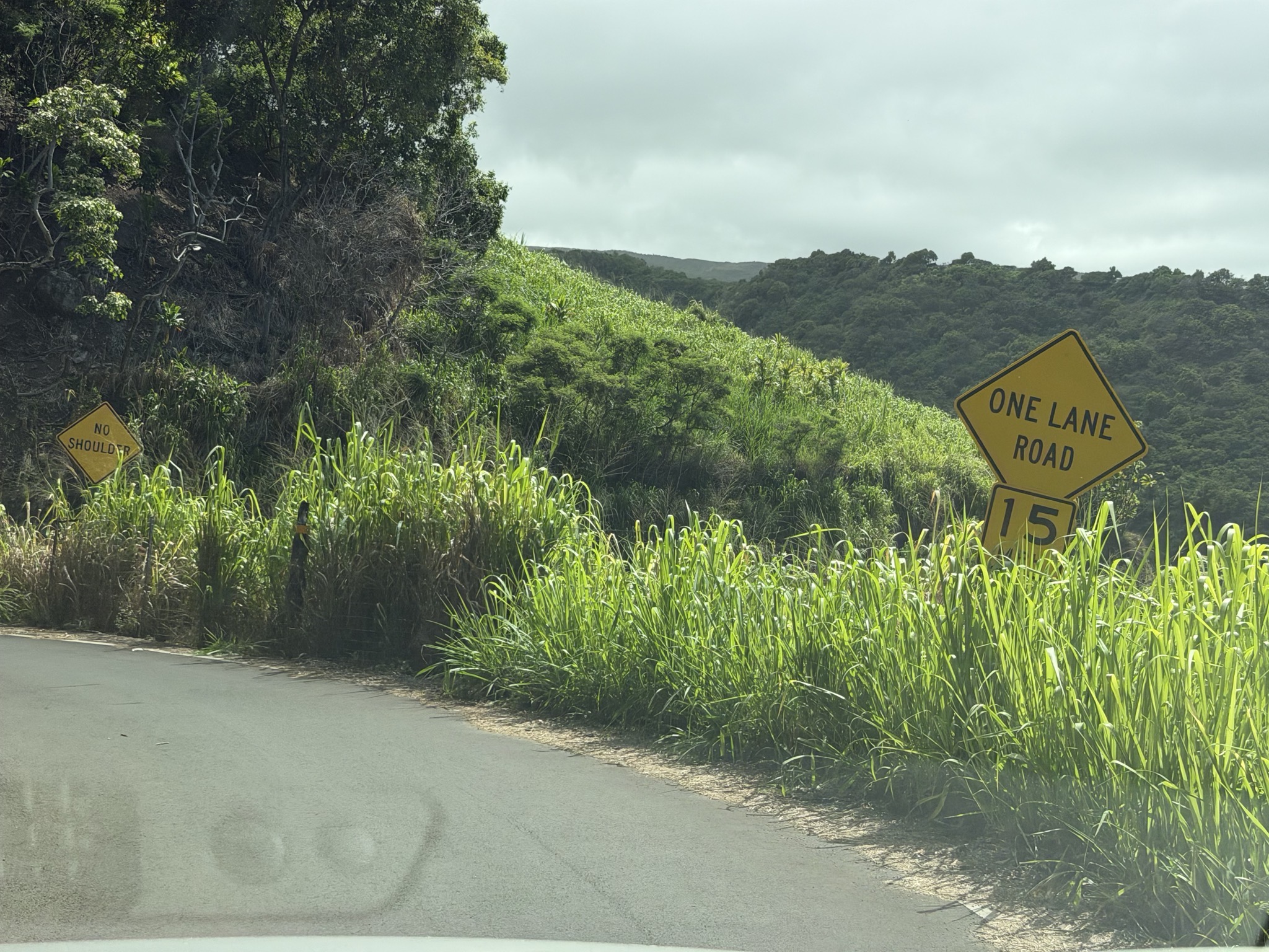 One lane road