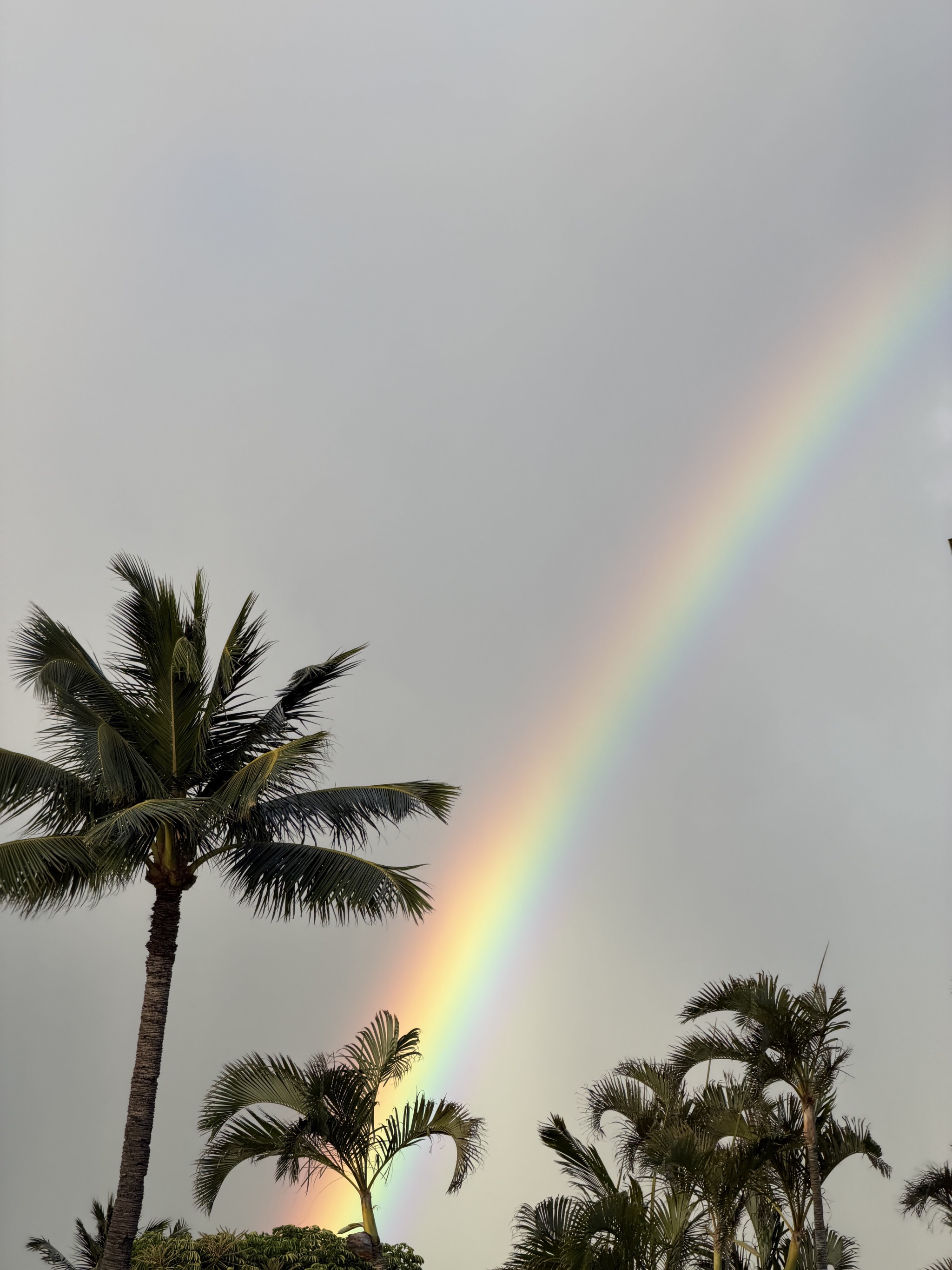 Rainbow
