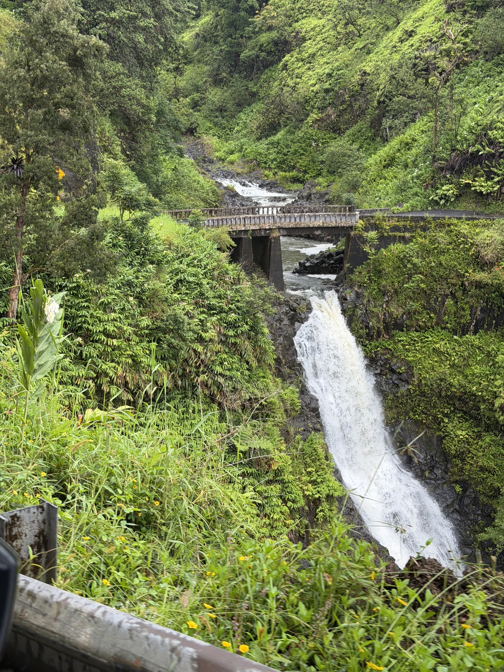 Kūloa Point Trail loop