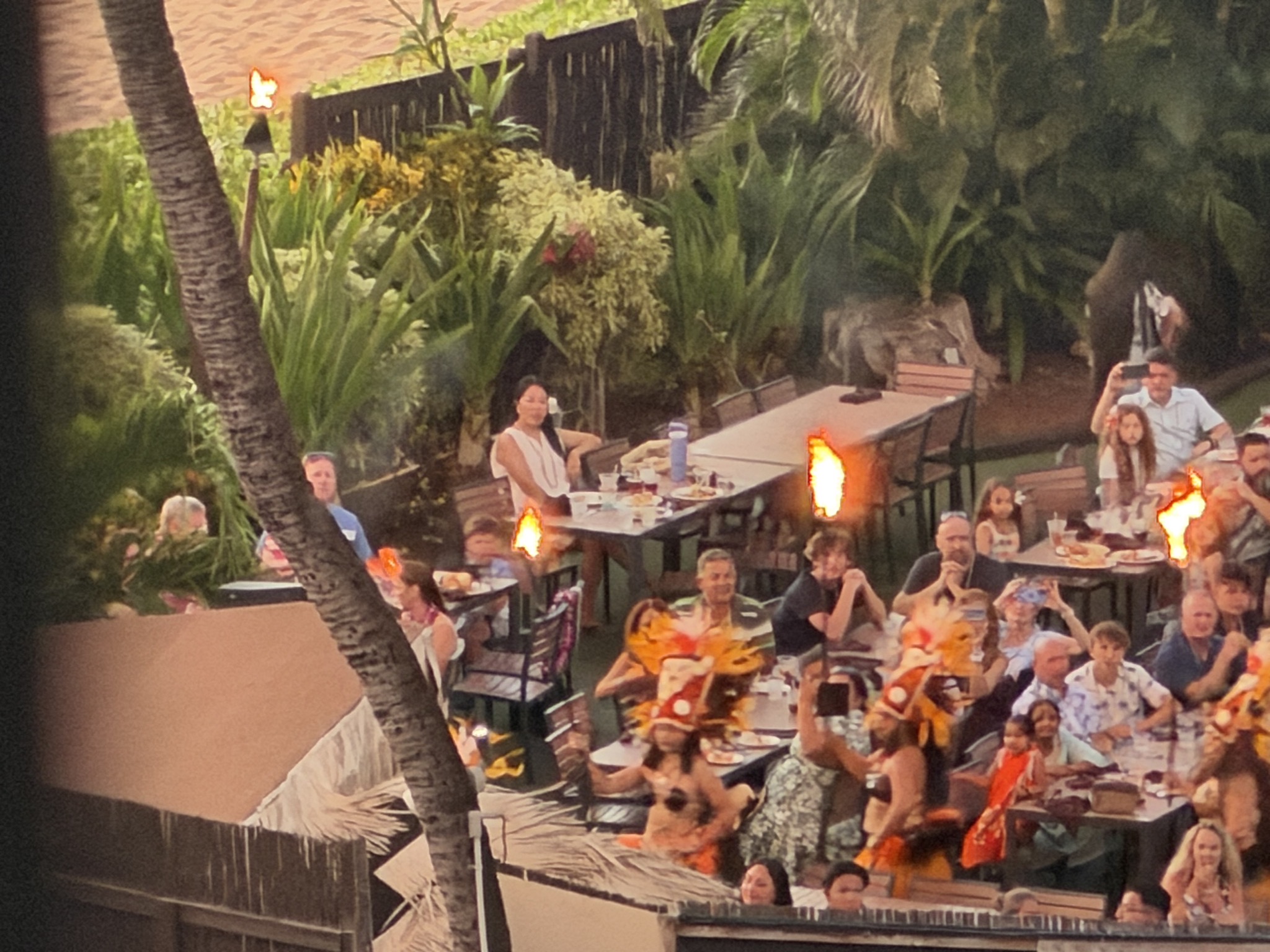 Luau