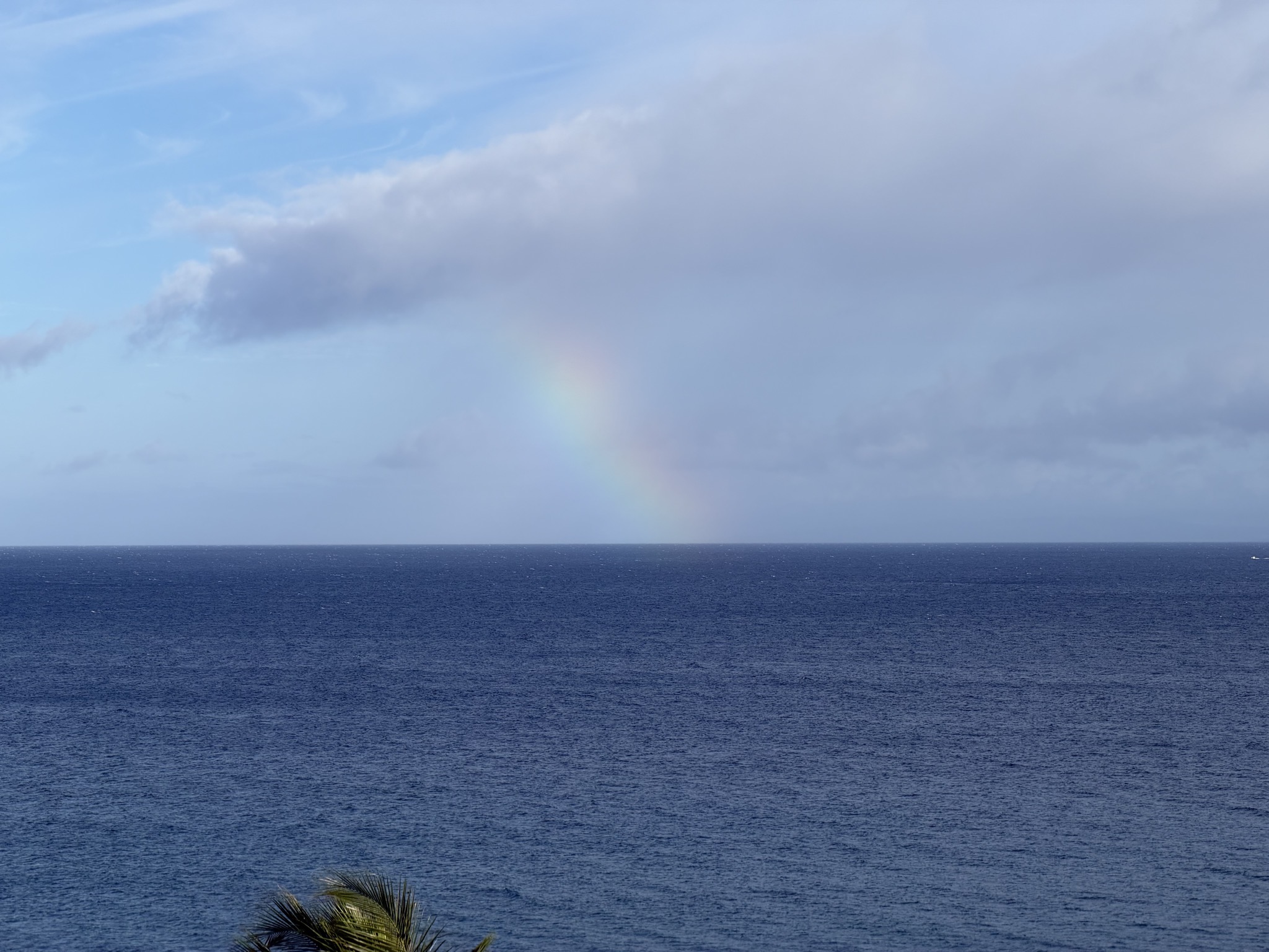 Rainbow