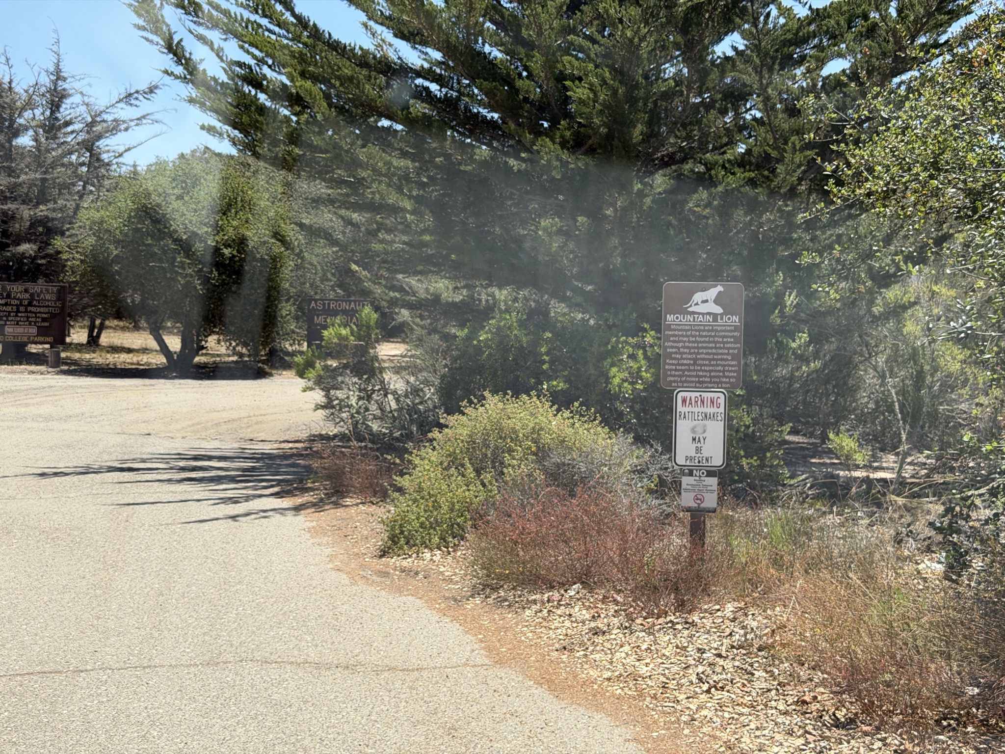 Mountain lions and snakes in area