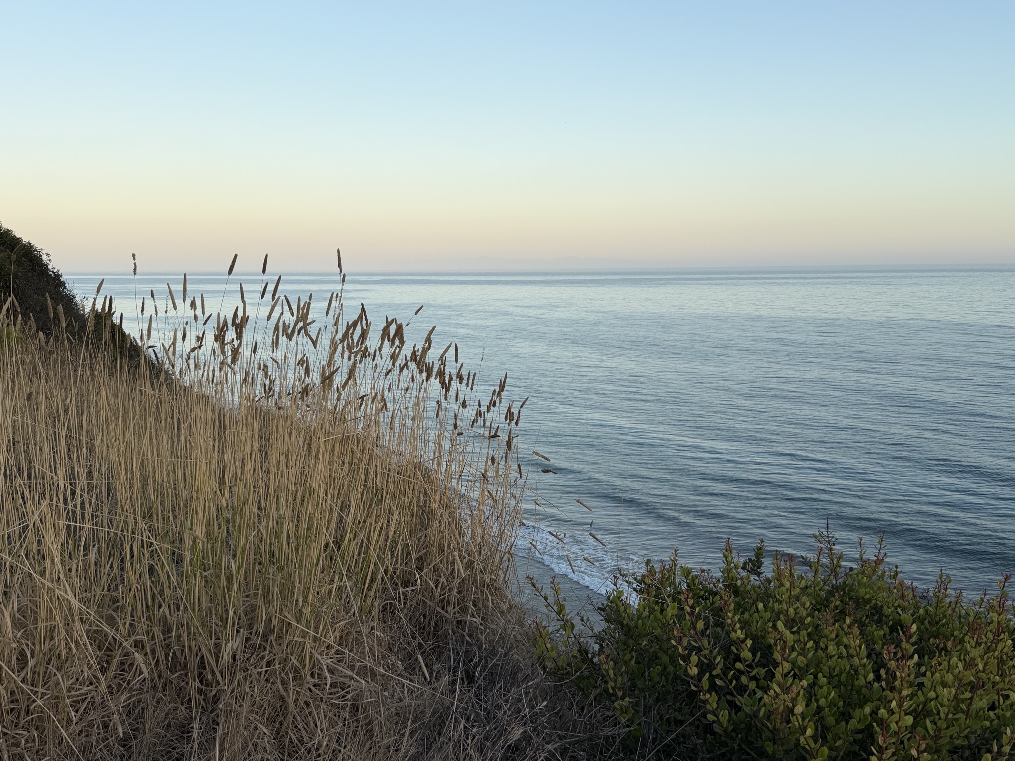 Ocean
