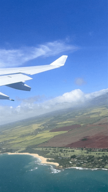 Goodbye Maui