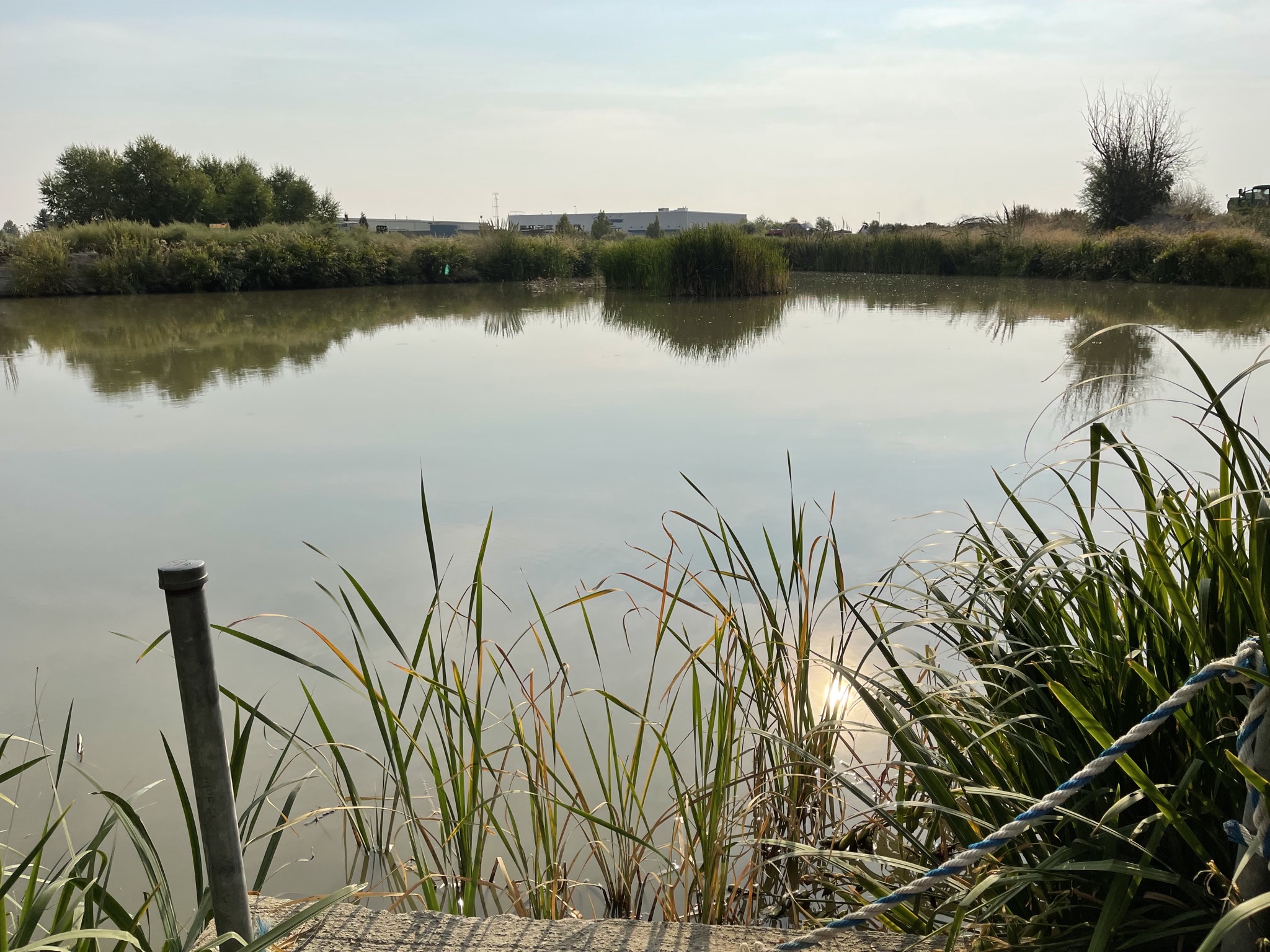 Pond