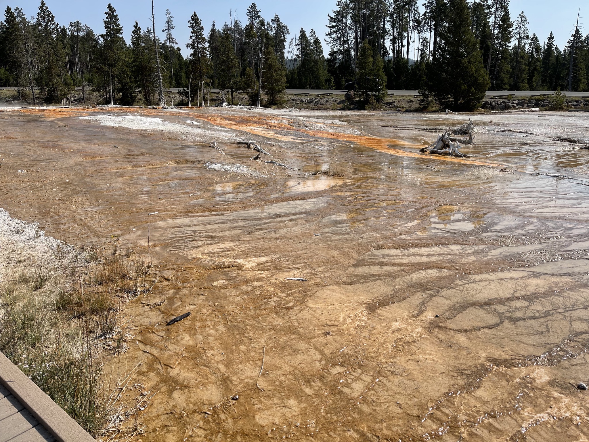 Runoff