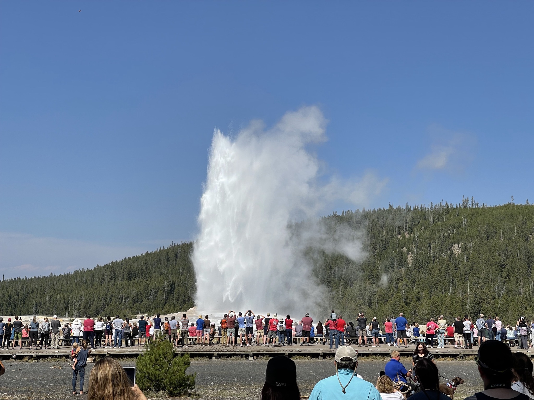 Old Faithful geyser