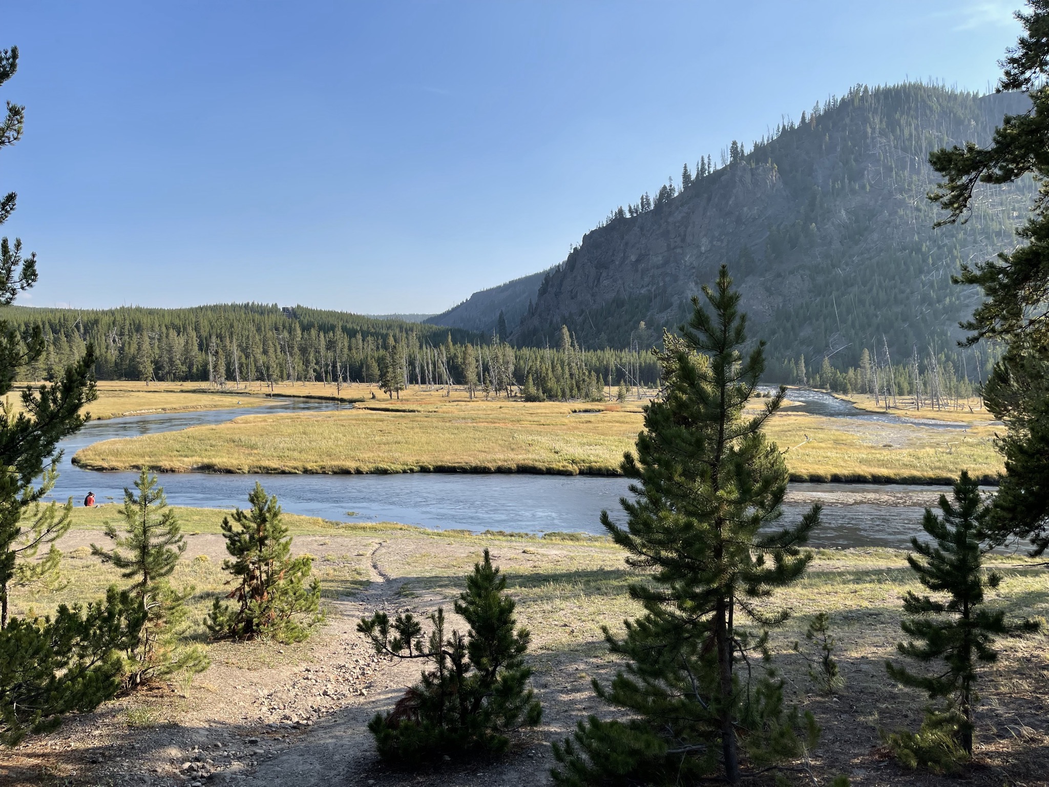 Madison river