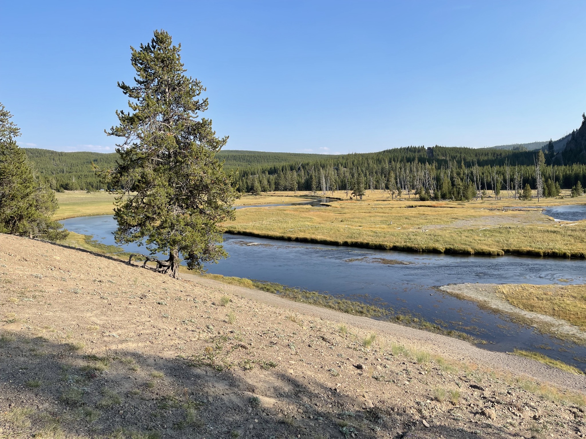 Madison river