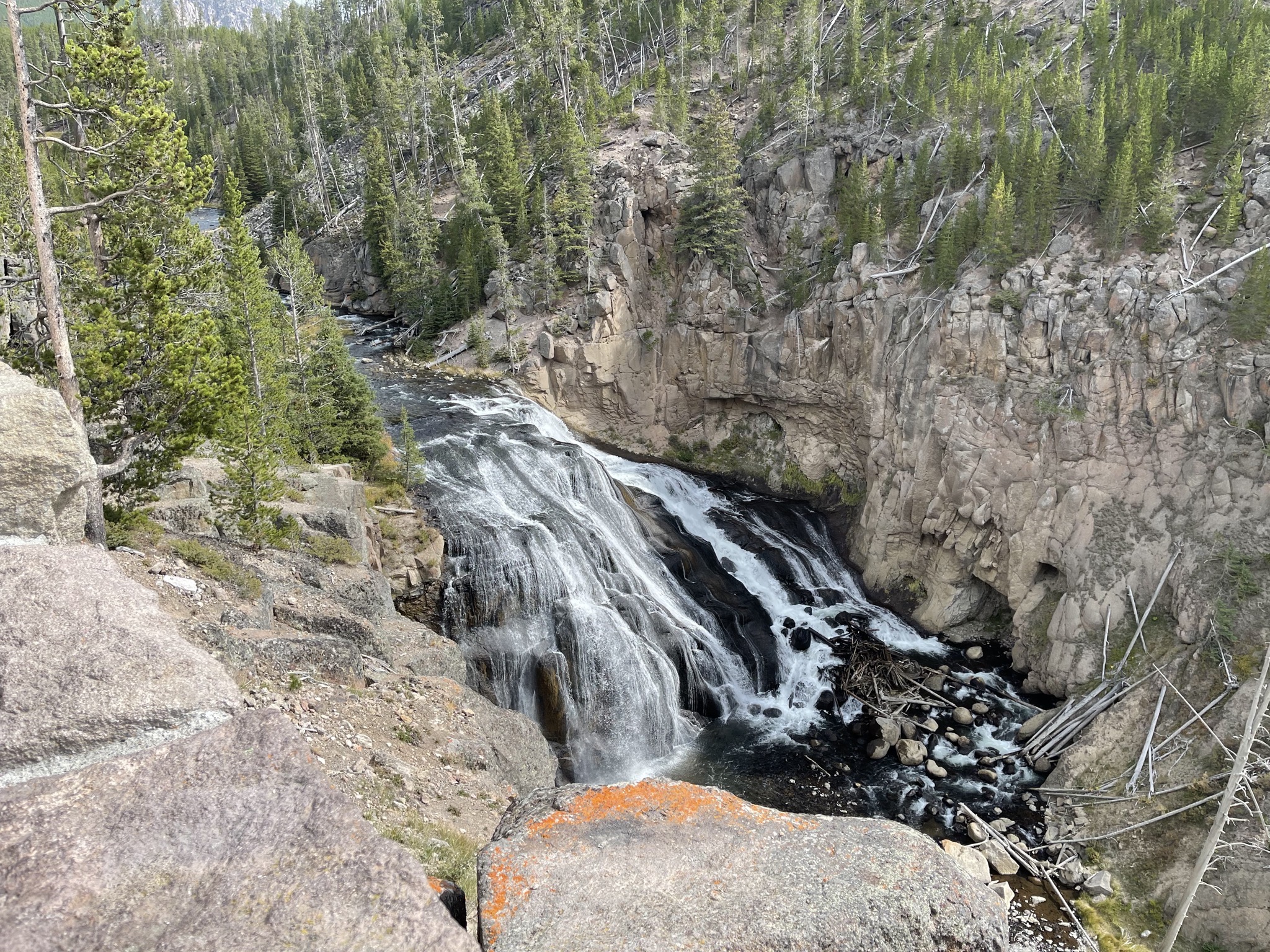 Gibbon falls
